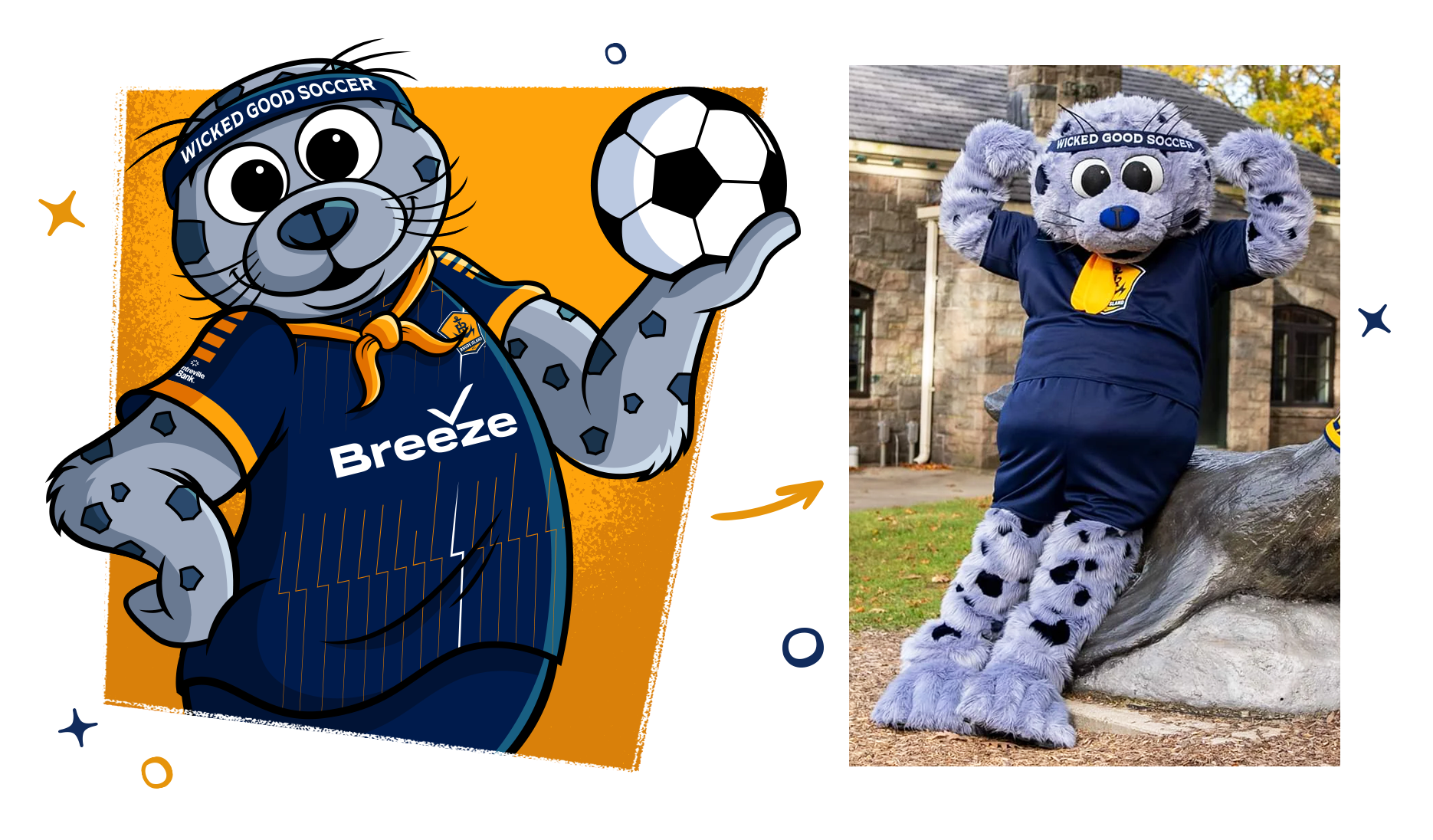 Chip - Rhode Island FC