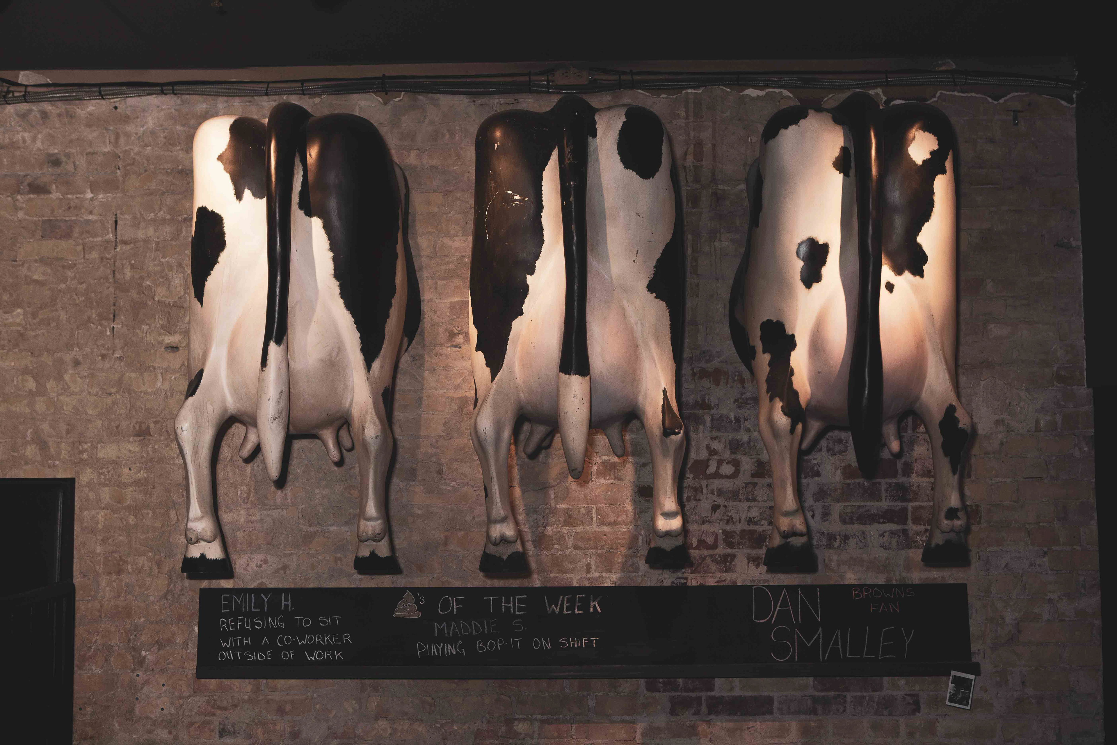 Restaurant Interior Photography - Cows