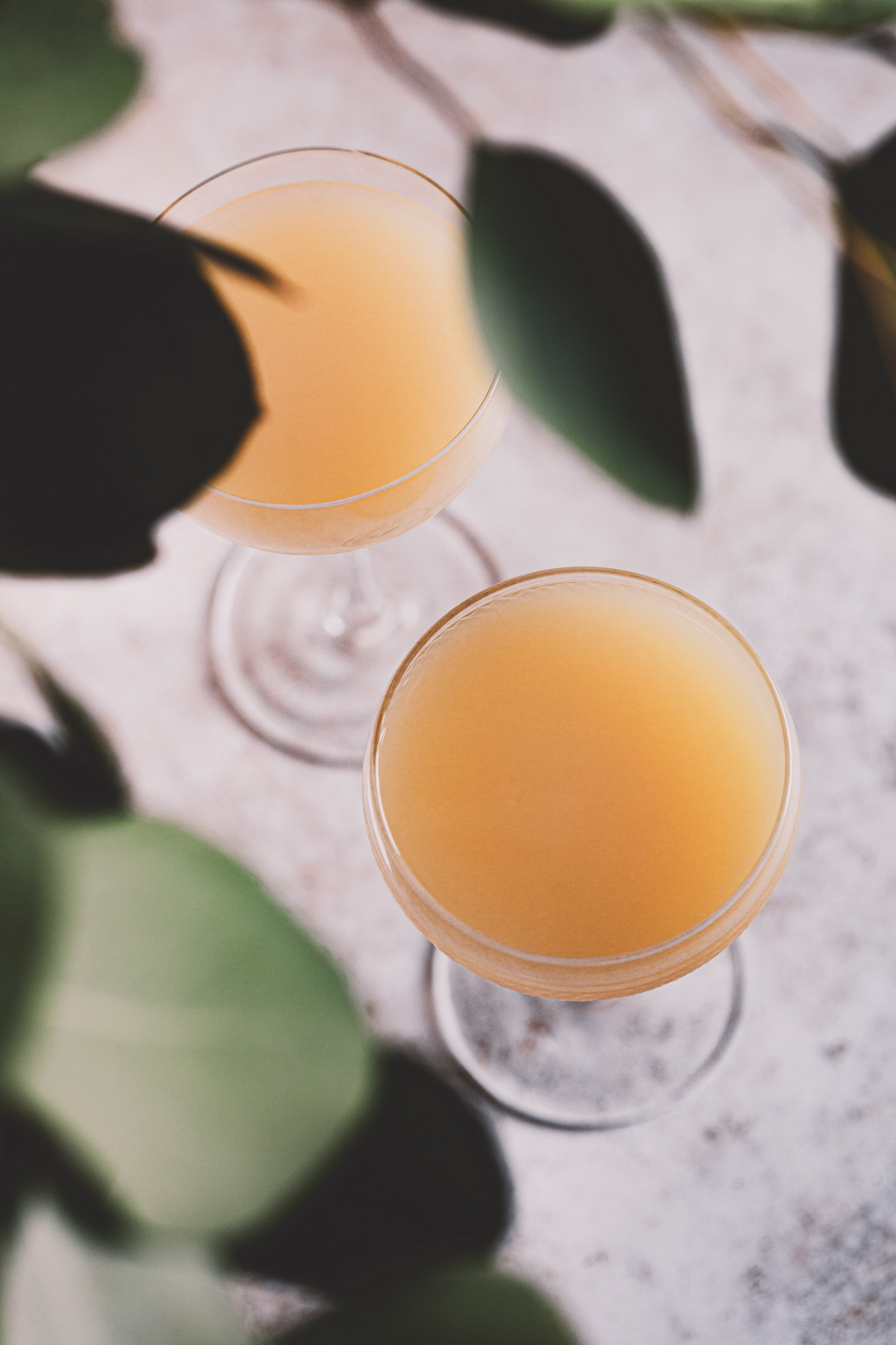 Cocktail photography - two cocktail glasses