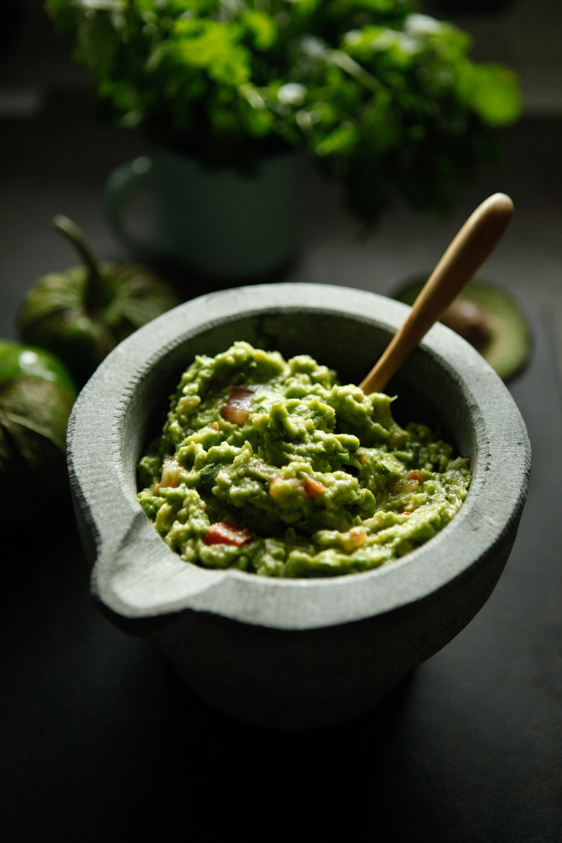 Guacamole in Molcajete - Food Photography