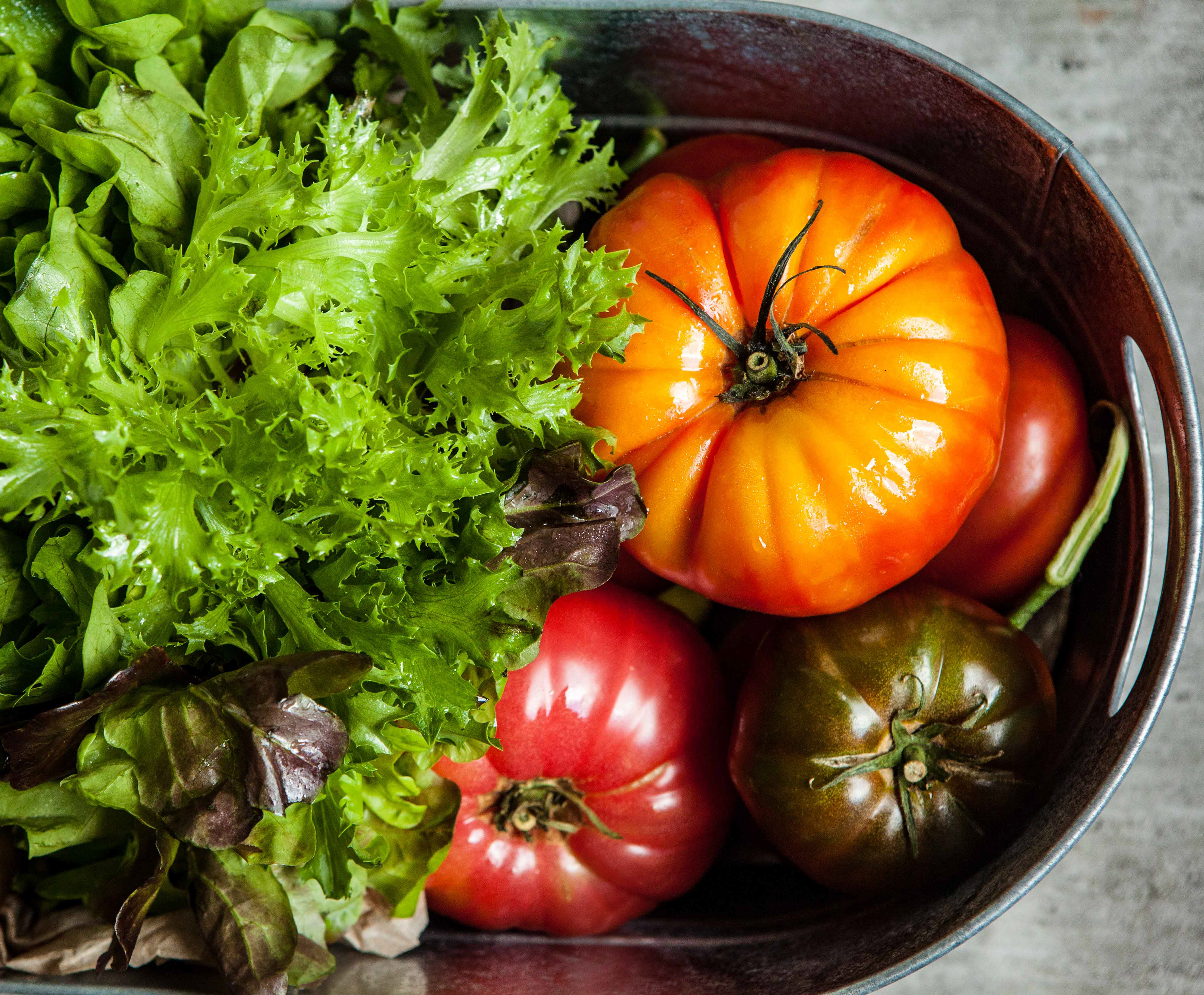 Heirloom Tomatoes in a Bucket - Food Photography
