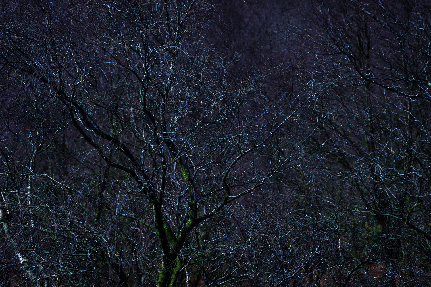 Lawrencefield quarry lit by (near Hathersage), Peak District National Park, Derbyshire, UK