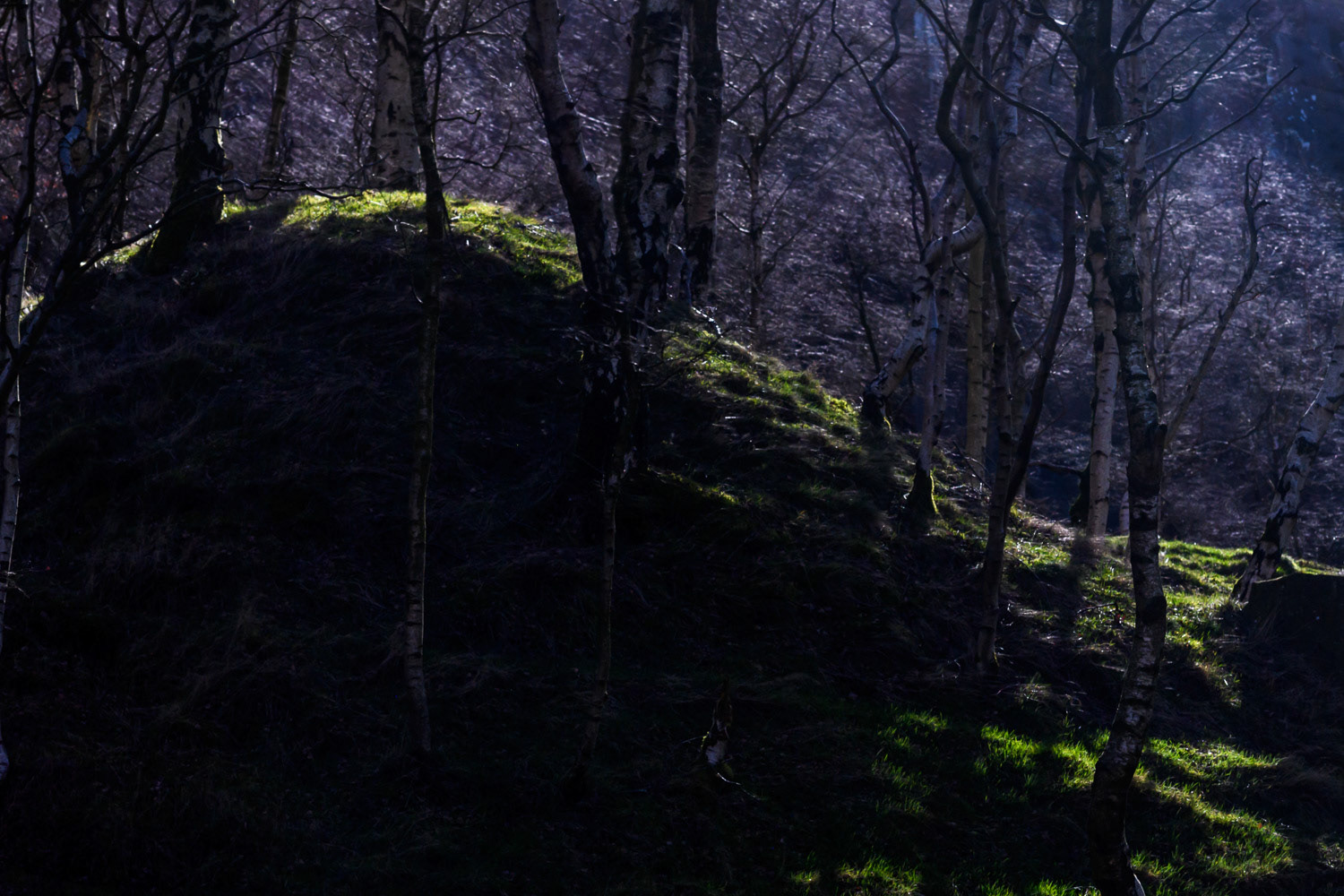 Lawrencefield quarry lit by (near Hathersage), Peak District National Park, Derbyshire, UK