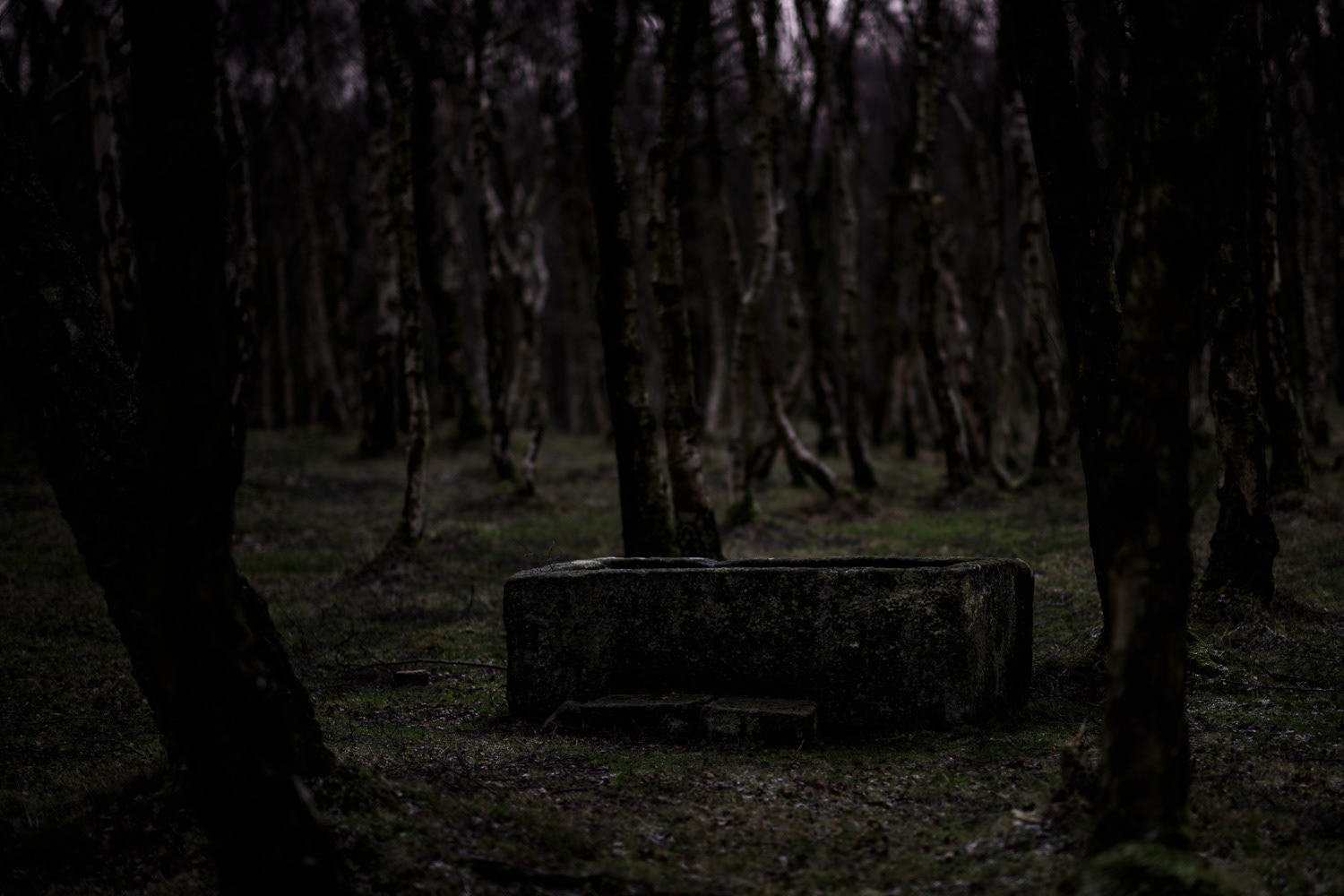 Old water trough, Lawrencefield quarry (near Hathersage), Peak District National Park, Derbyshire, UK