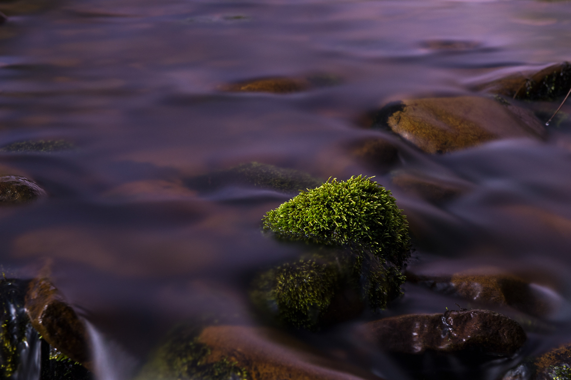 Moss covered stone in the River Ashop (just off the Snake Pass A57), The Peak Distirct National Park, Derbyshire, Uk