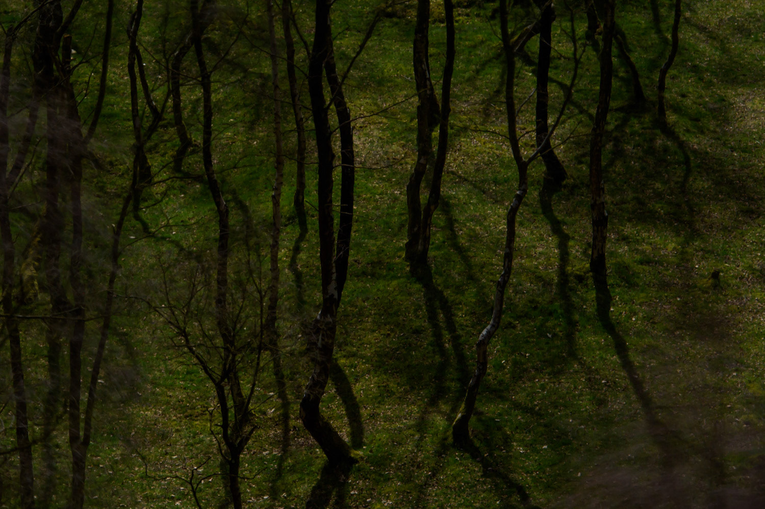 Moon Shadows, Lawrencefield quarry (near Hathersage), Peak District National Park, Derbyshire, UK