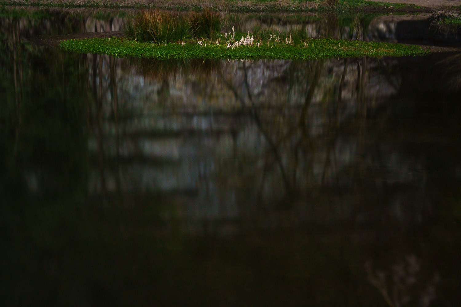 A favourite place for climbers, The River Wye in Miller’s Dale at Cressbrook (near Buxton), Derbyshire