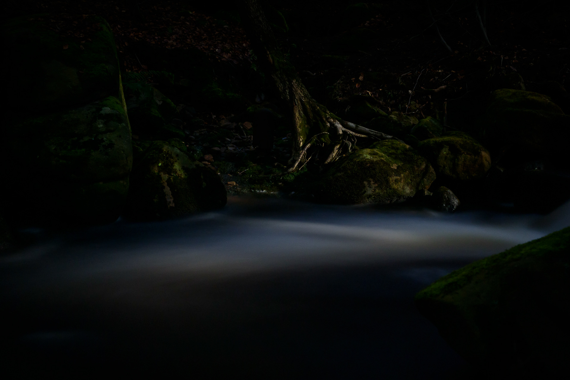 Burbage Brook, Padley Gorge, Peak District National Park, Derbyshire, UK