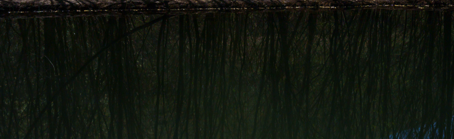 Reflection of bank on the River Wye in Miller’s Dale at Cressbrook (near Buxton), Derbyshire