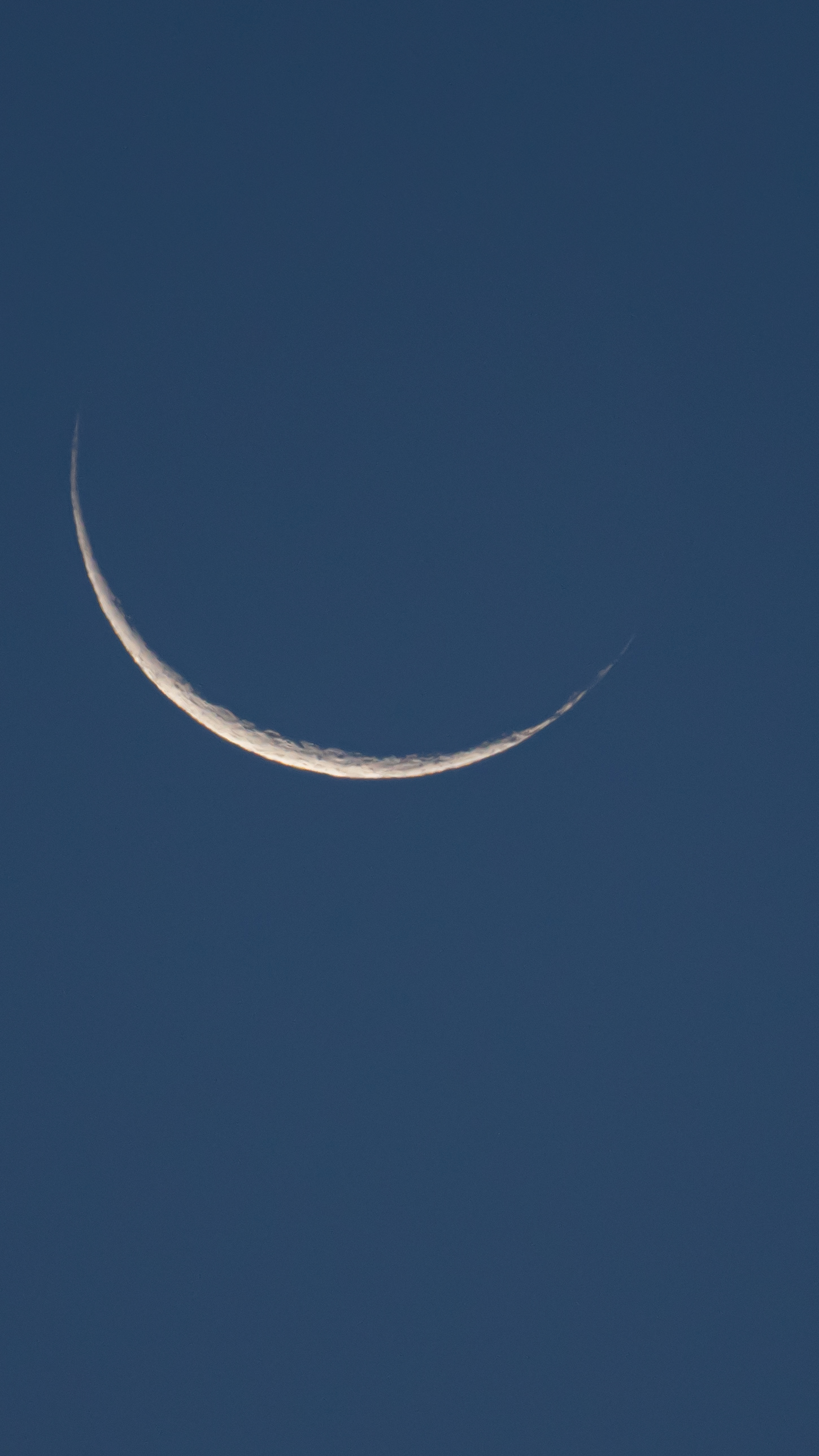 Fingernail moon, in the day.
