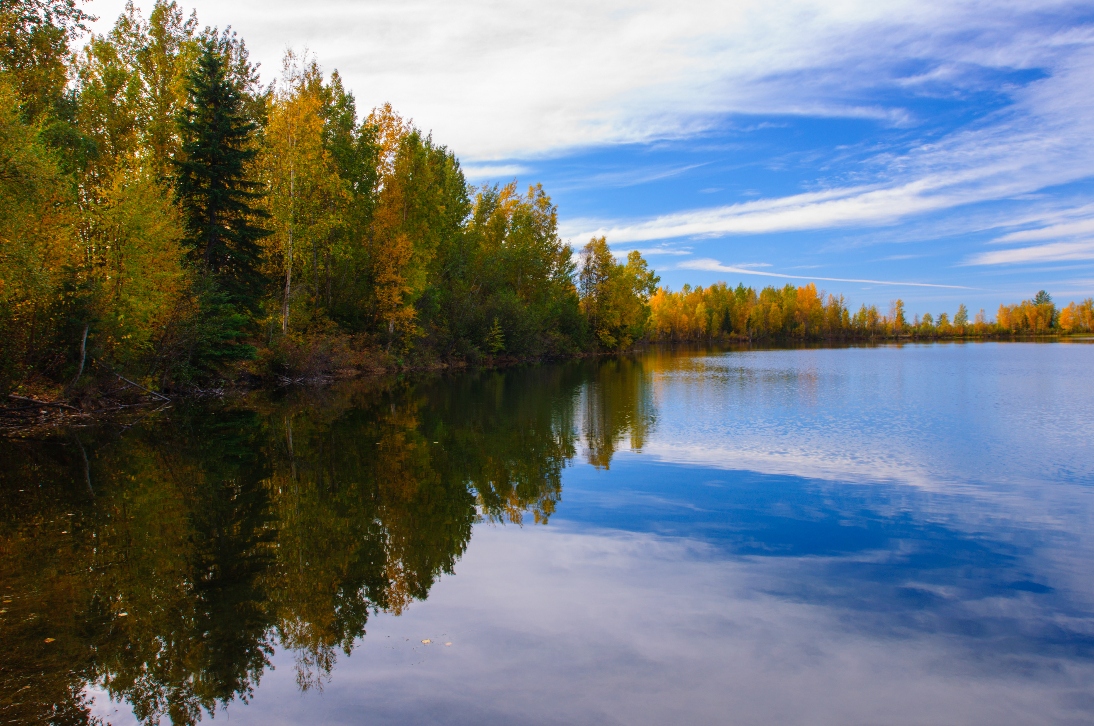 Fall reflections in a lake, Bradley-Kepler lake, Mat-su valley, Alaska