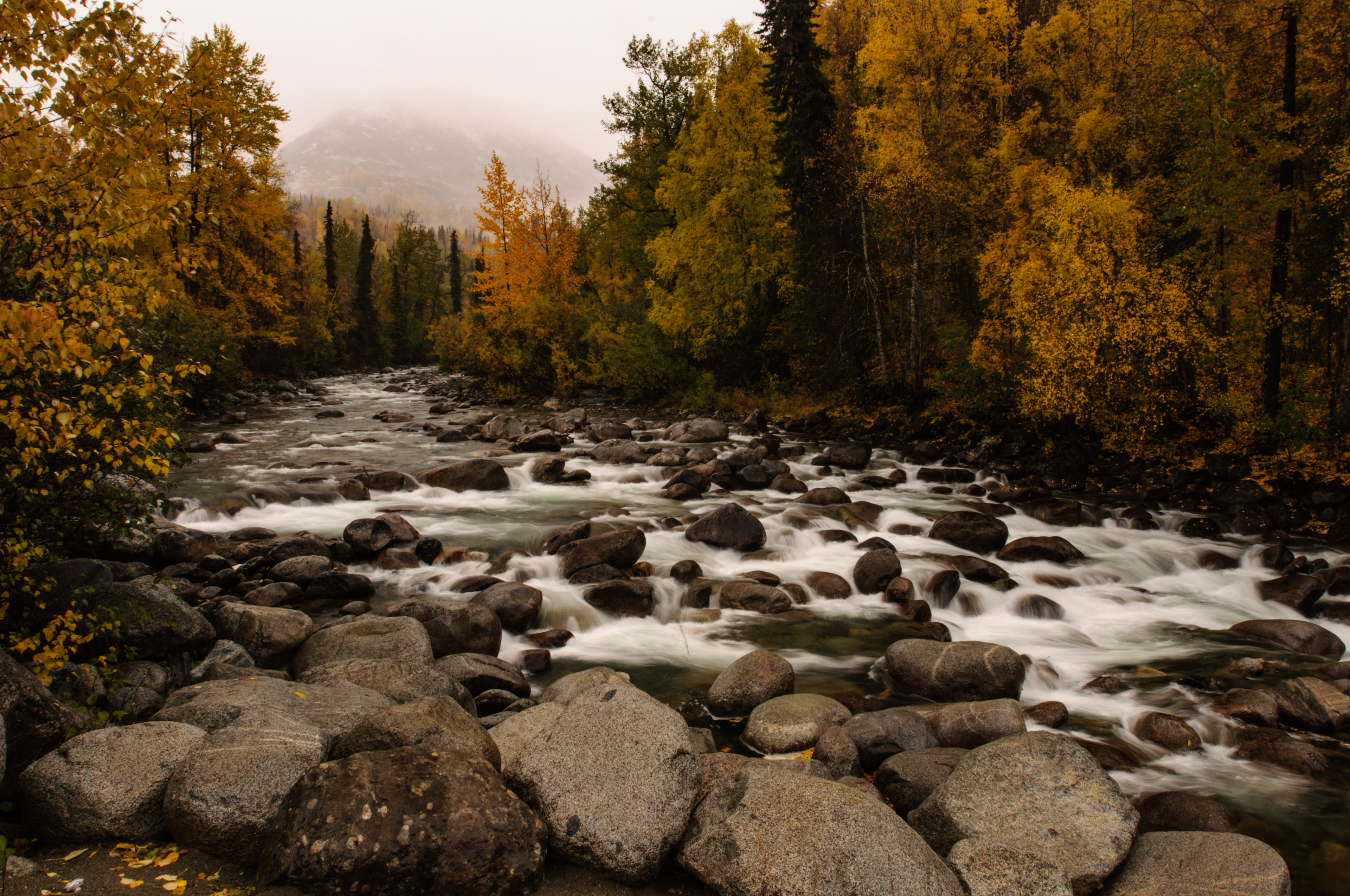Little Susitna River fall colors, Hatcher Pass, Alaska
