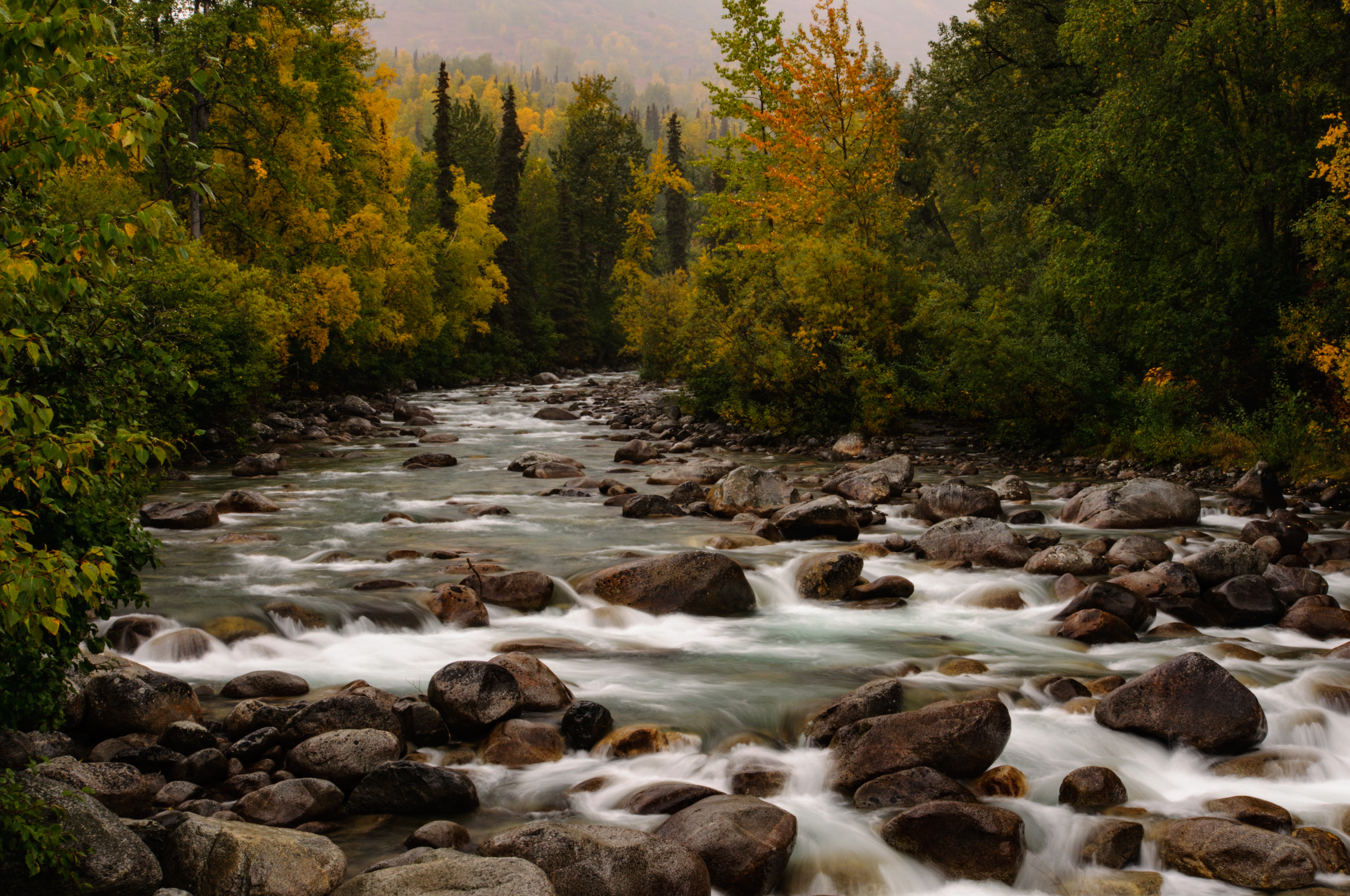 Little Susitna River fall colors, Hatcher Pass, Alaska