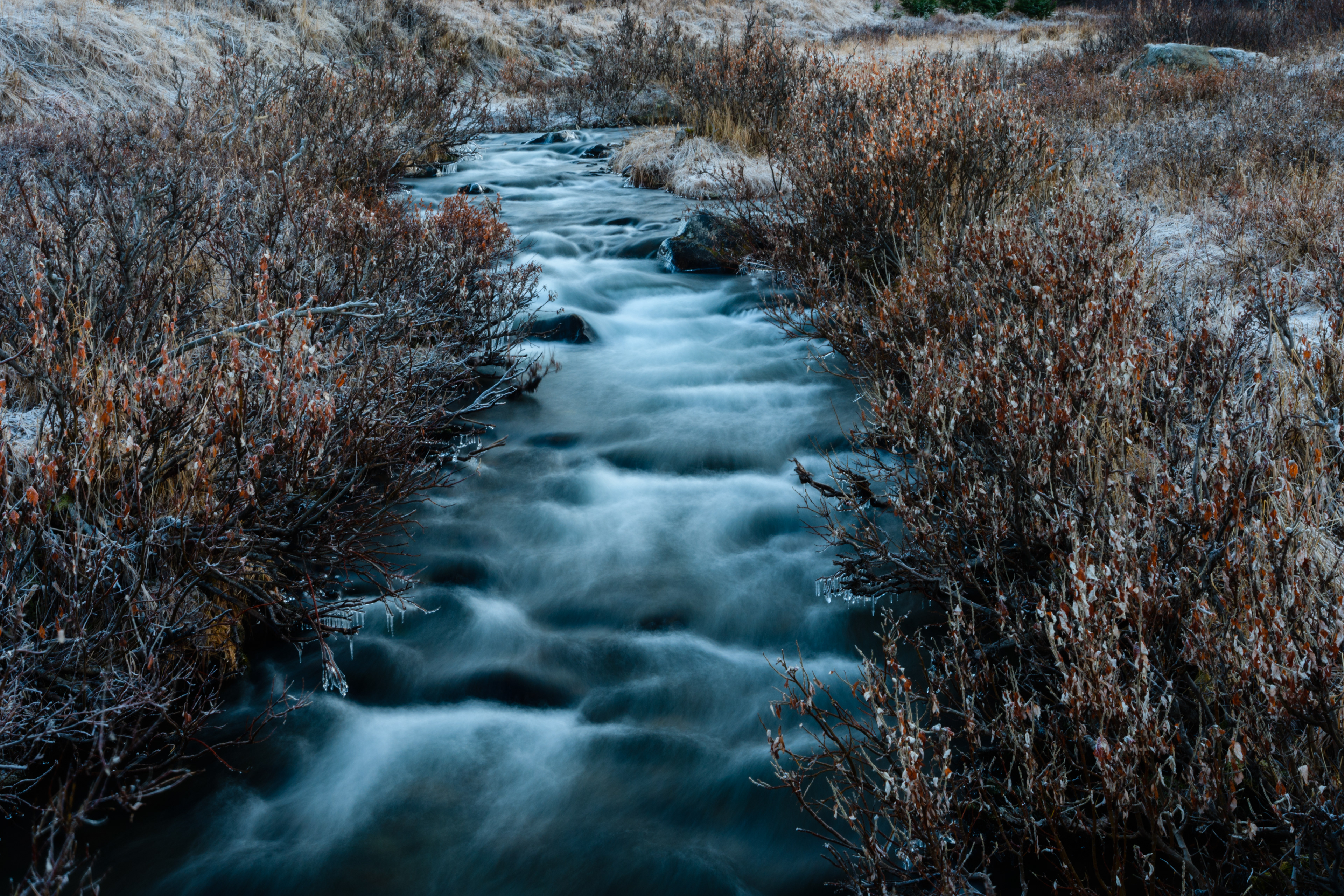 Creek, Anchorage, Alaska