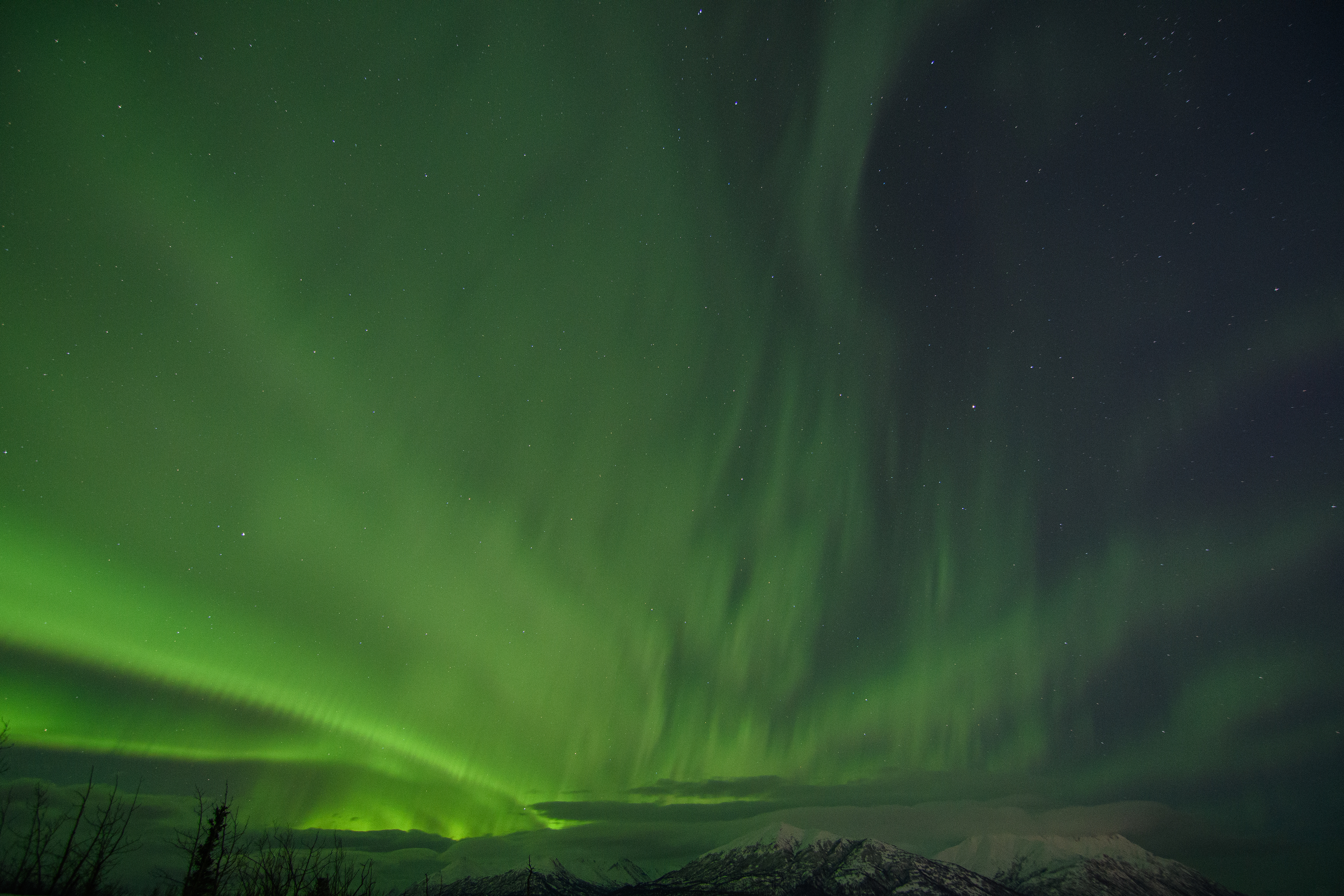Aurora Borealis, Northern Lights,  2/20/2023 Palmer, Alaska