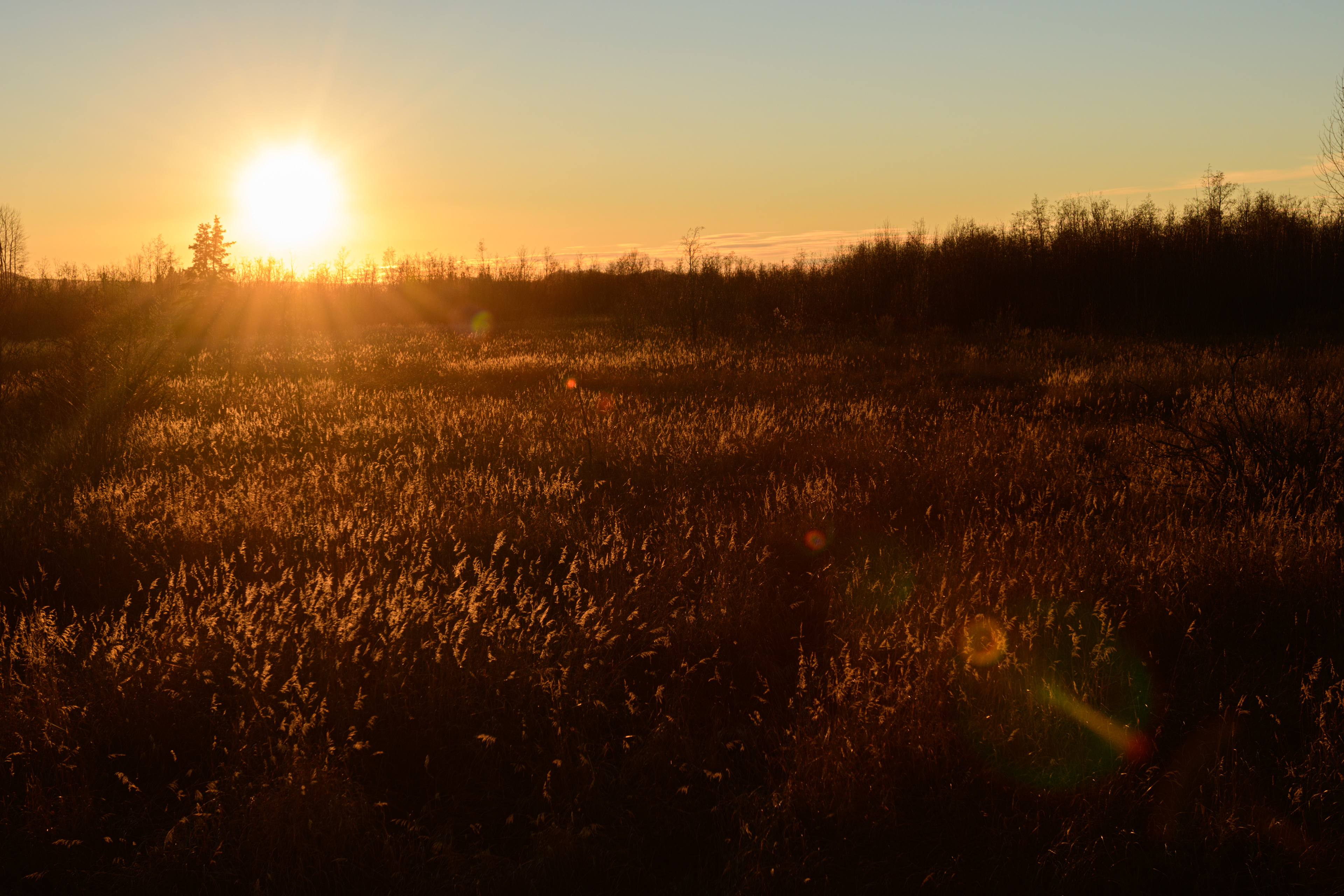 Sunset over a field, Reflections Lake, Mat-su Valley, Alaska