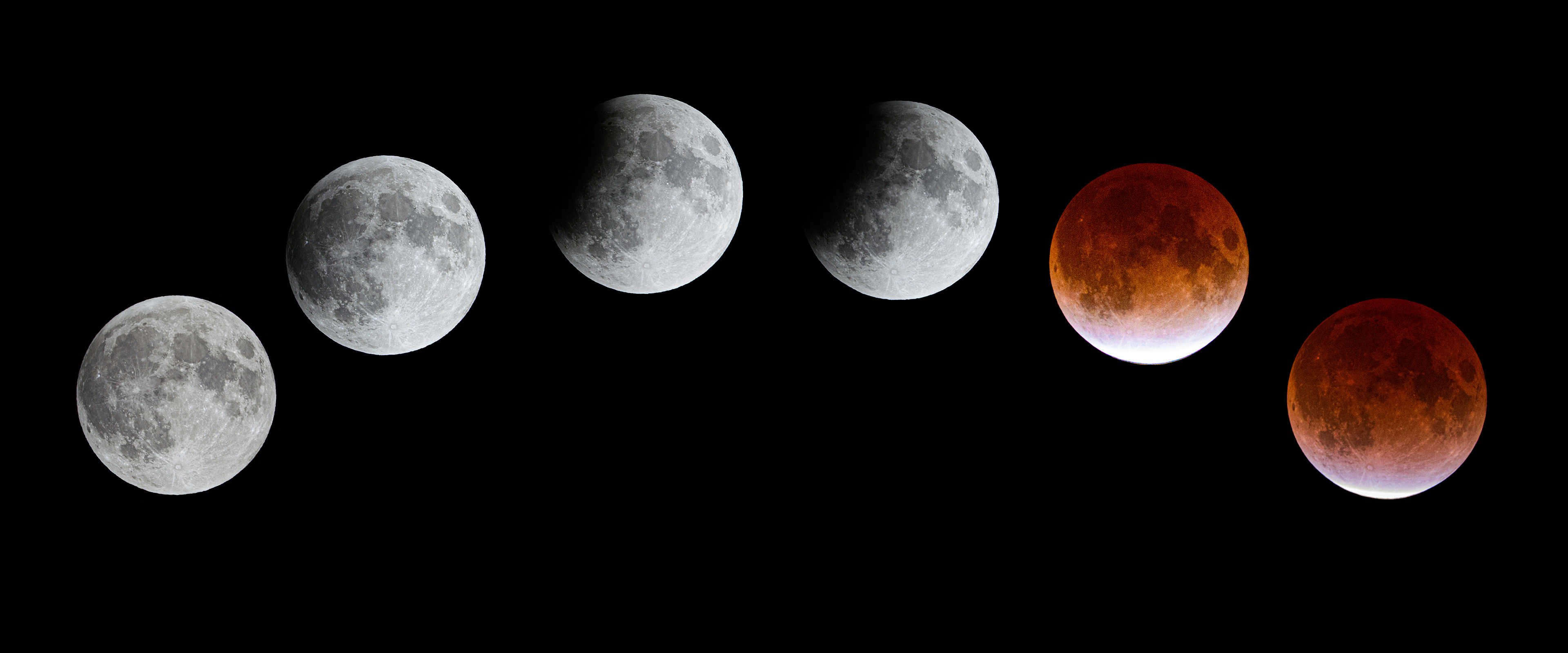 Lunar Eclipse montage