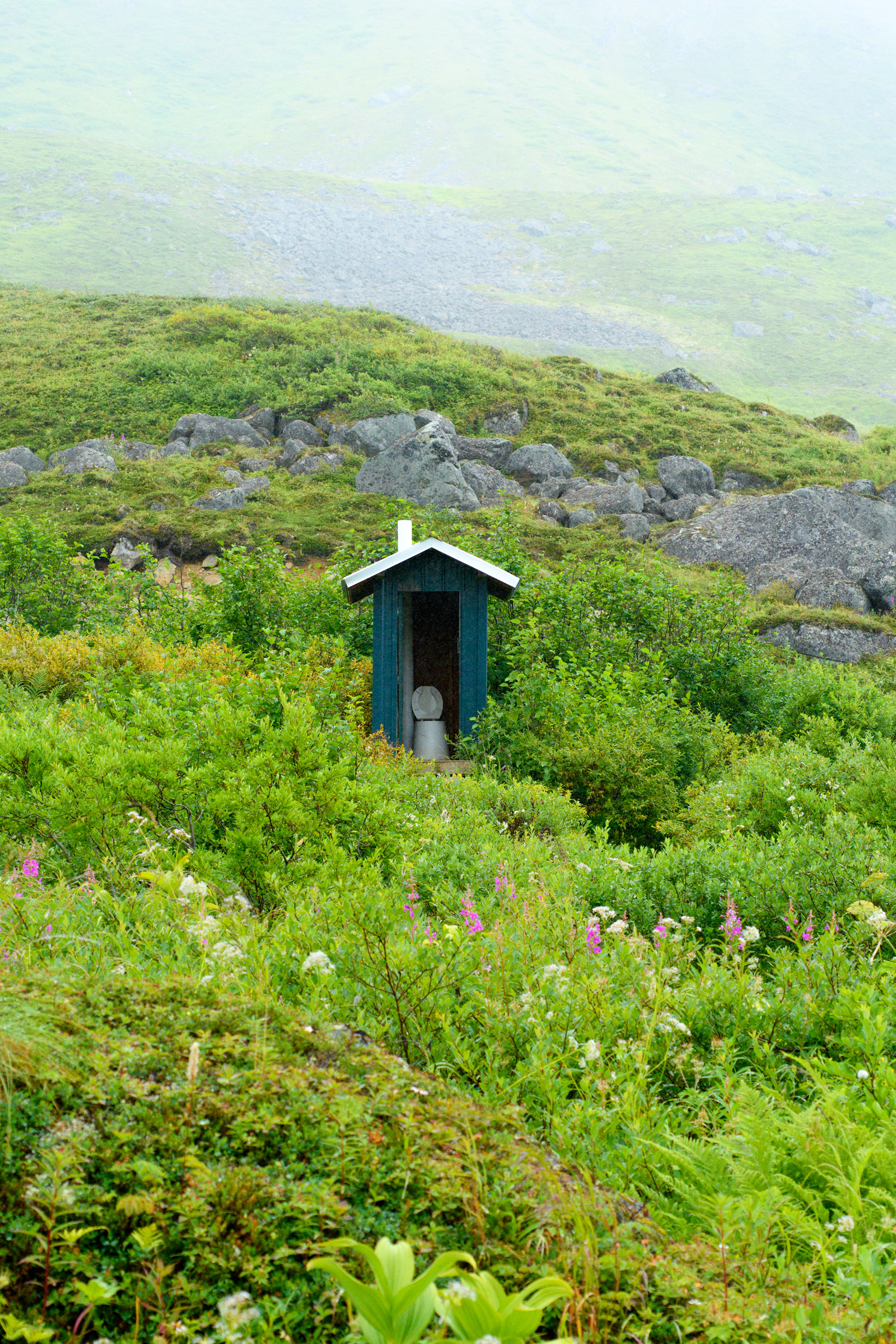 Outhouse in the bushes, Archangel Road, Hatcher Pass, Alaska