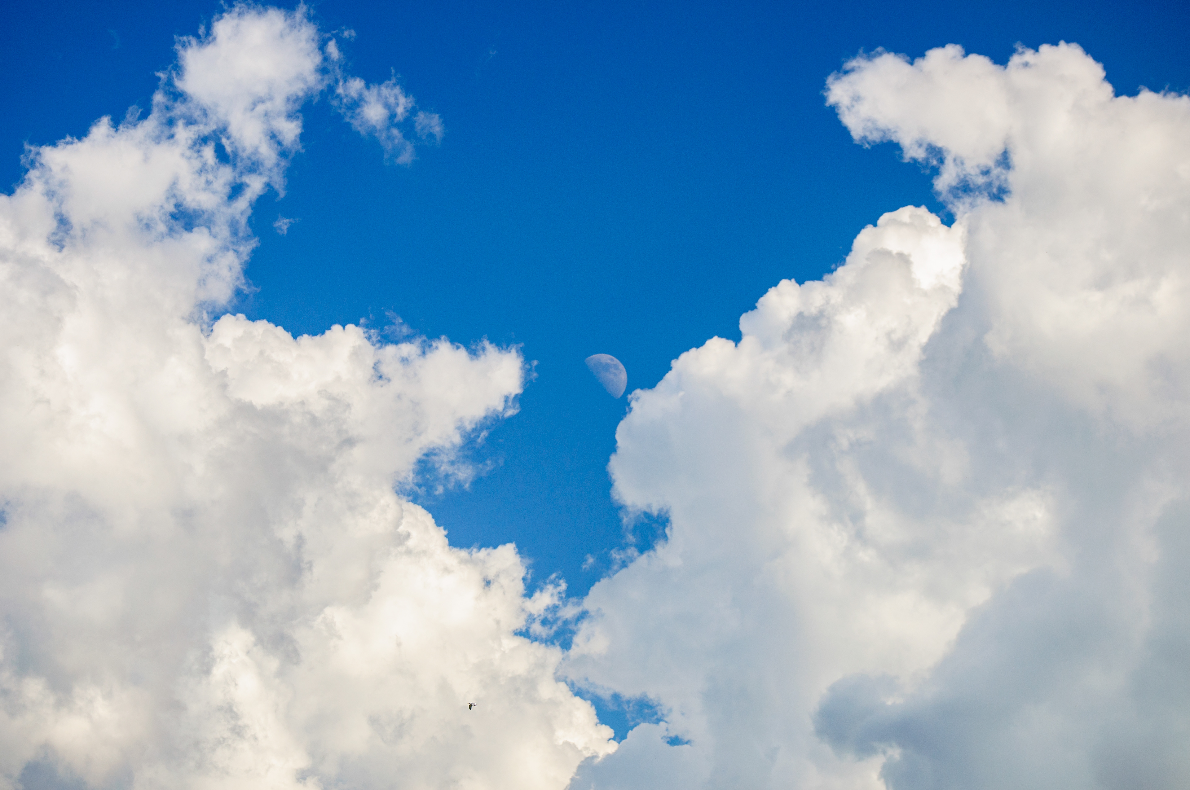 Clouds wrapping around the moon.