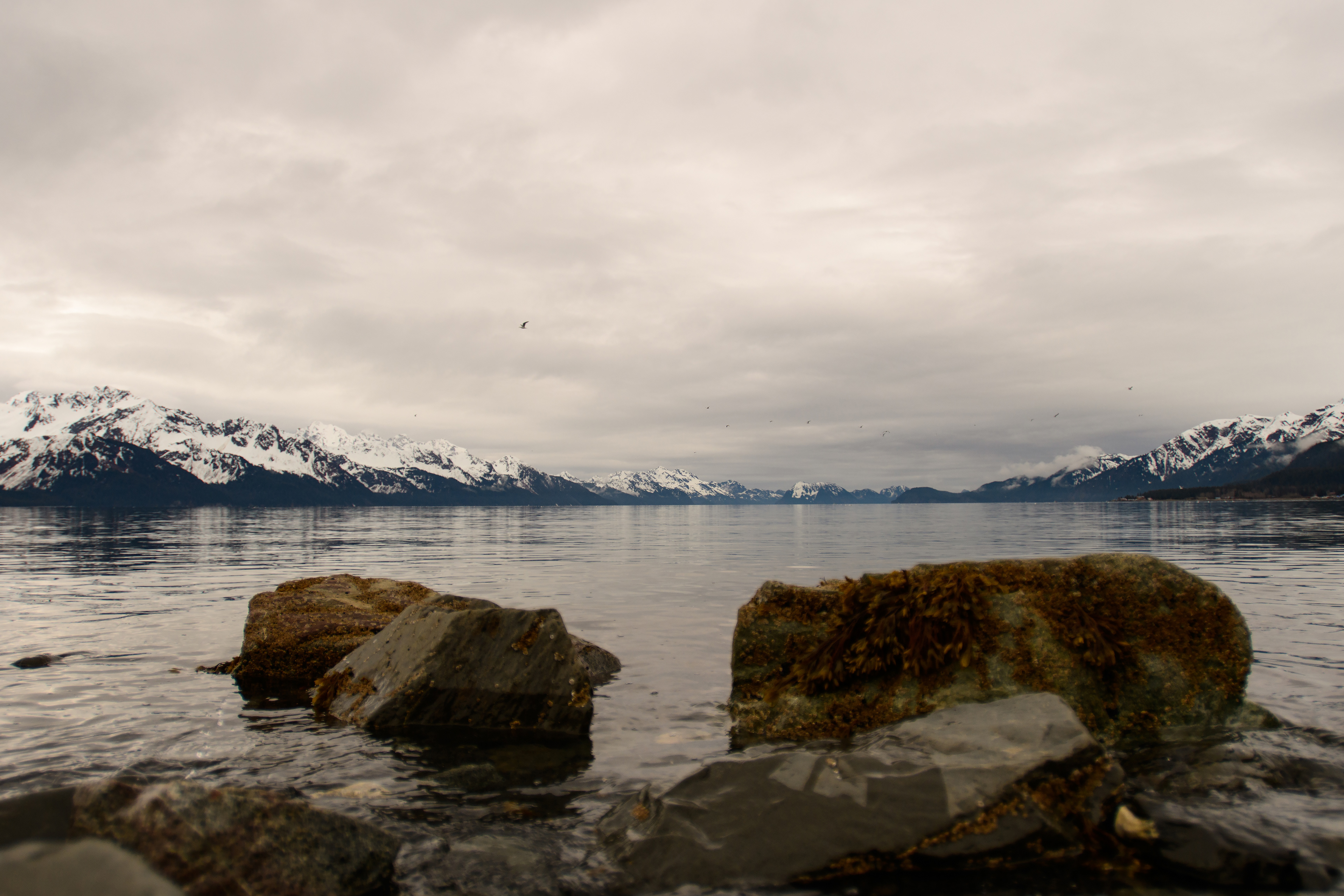 Tranquil ocean, Seward, Alaska