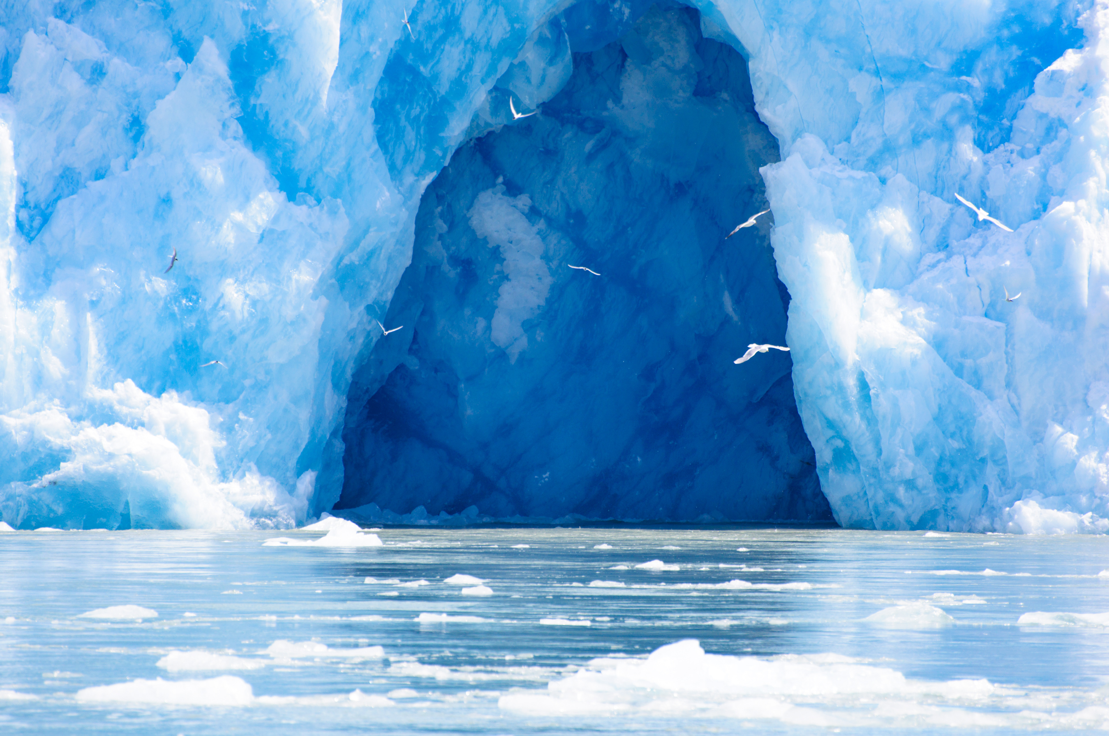 Glacial cave collapse, with seaguls flying about, Alaska