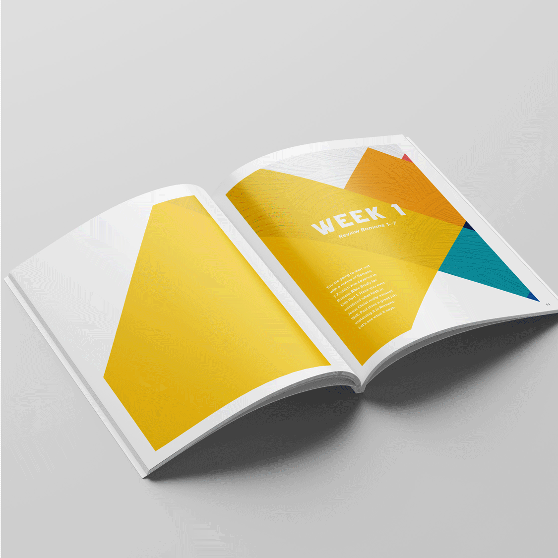 Romans study guide & workbook for kids