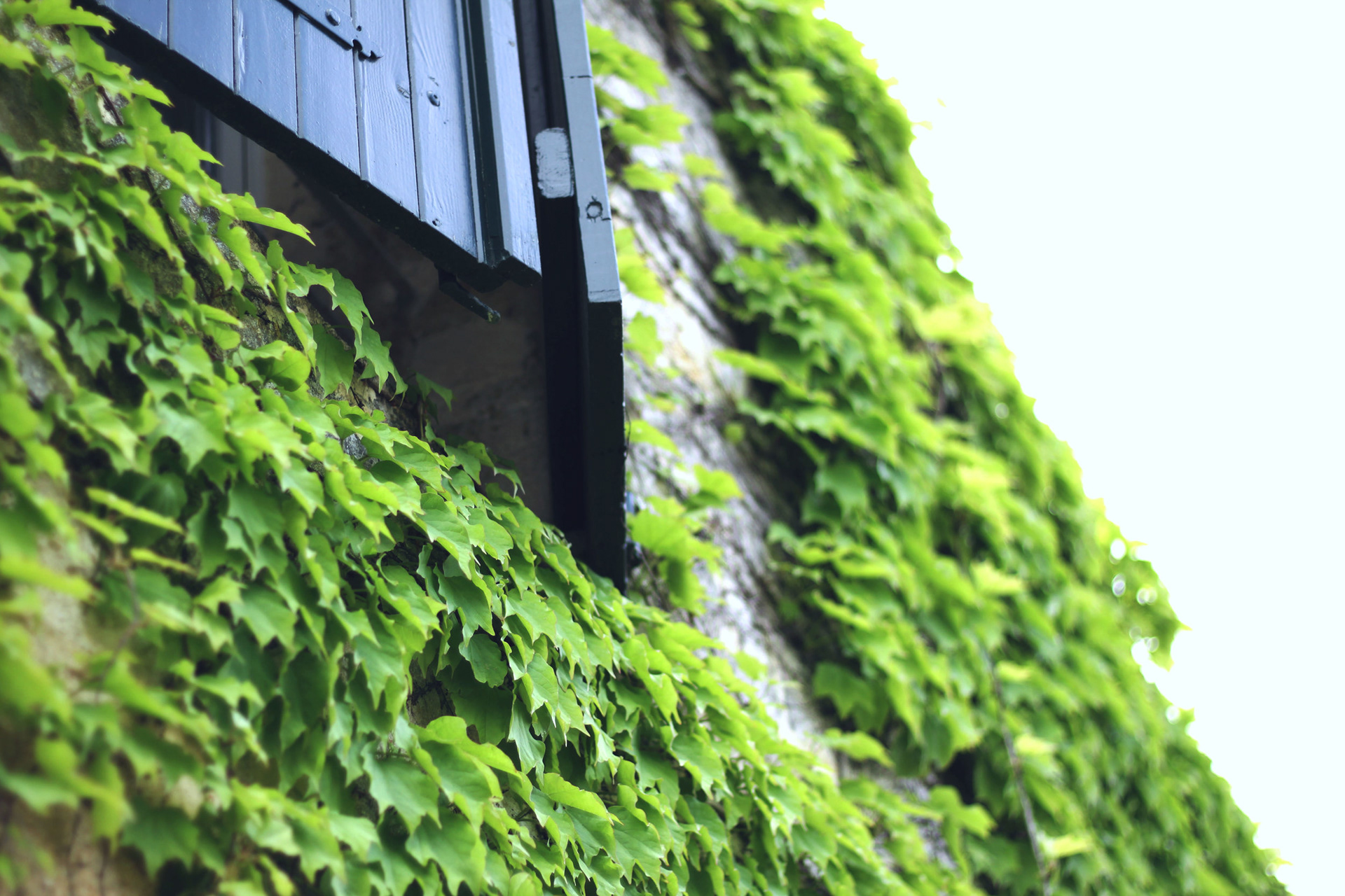 Artistic nature & architecture photography