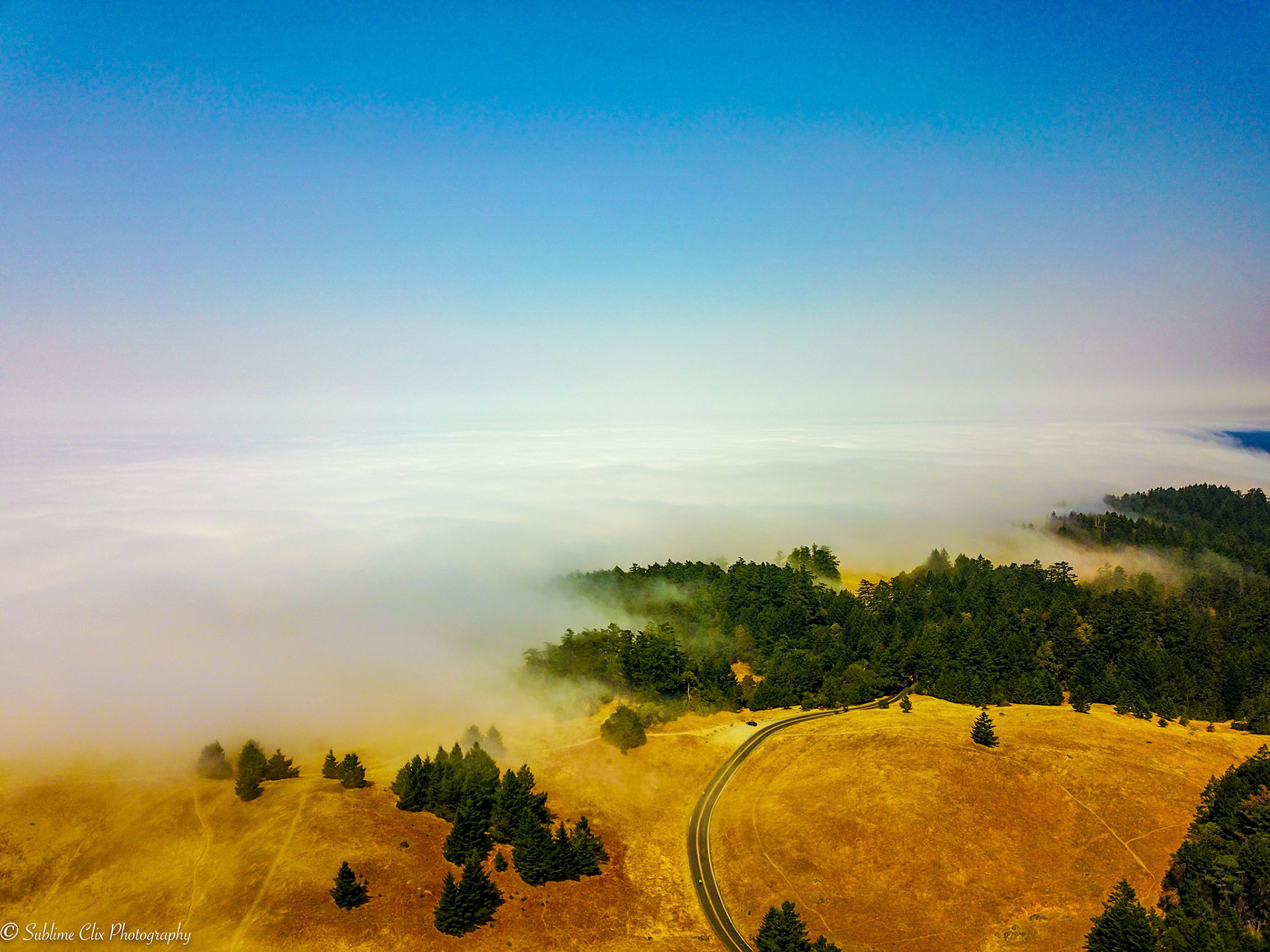 Mount Tam, USA