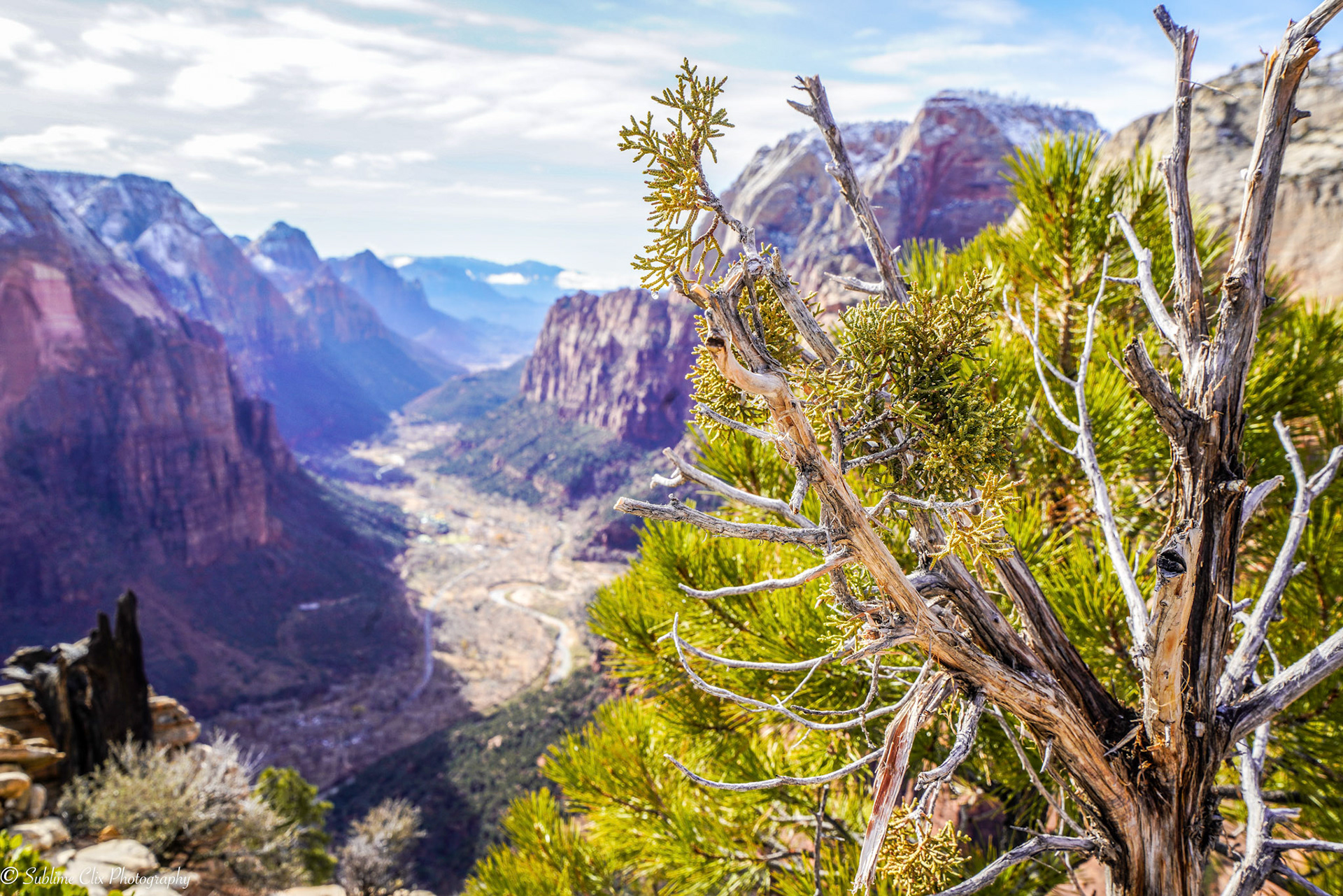 Zion National Park, Utah, USA