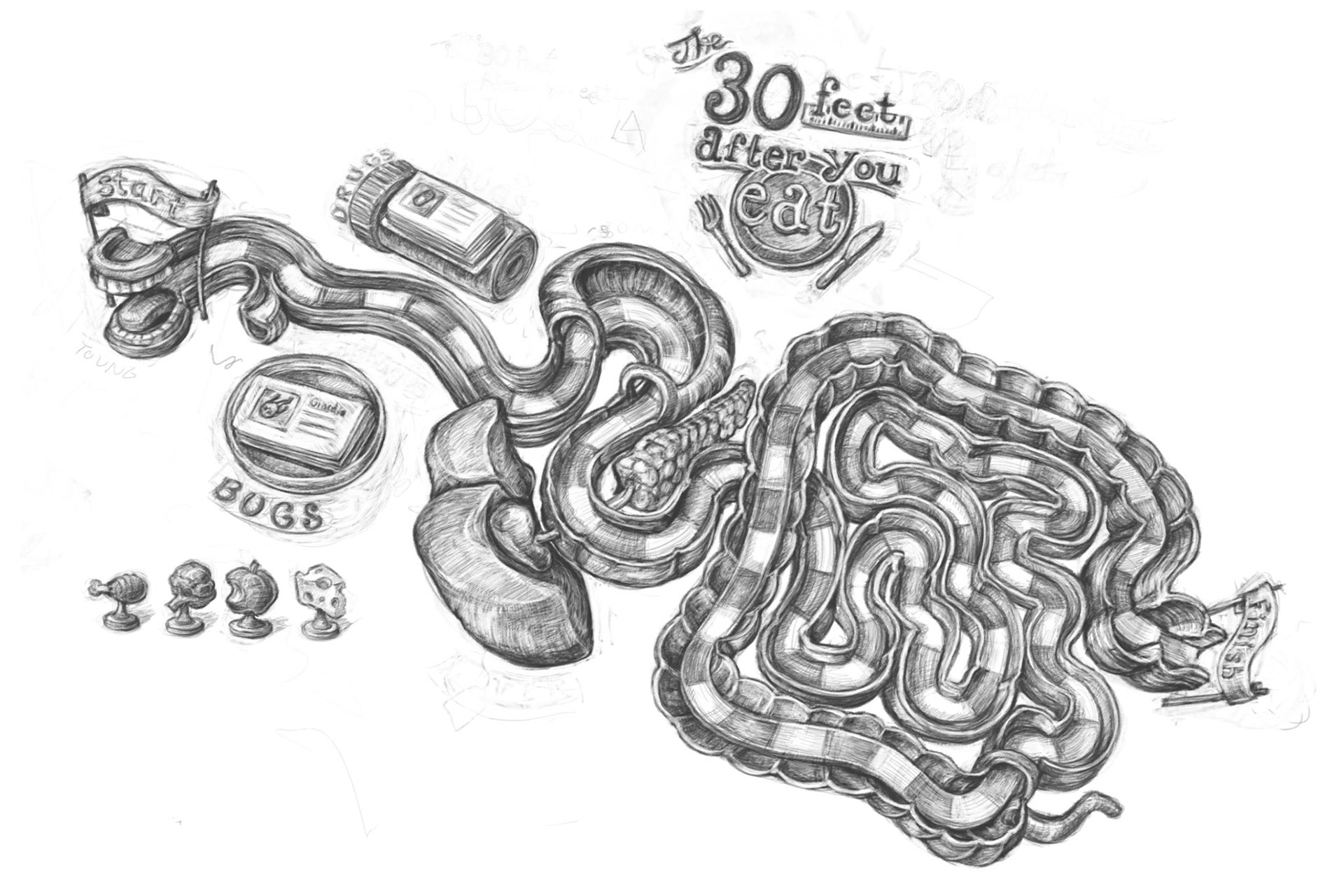 'The 30 Feet After You Eat' - Digestion board game prototype.