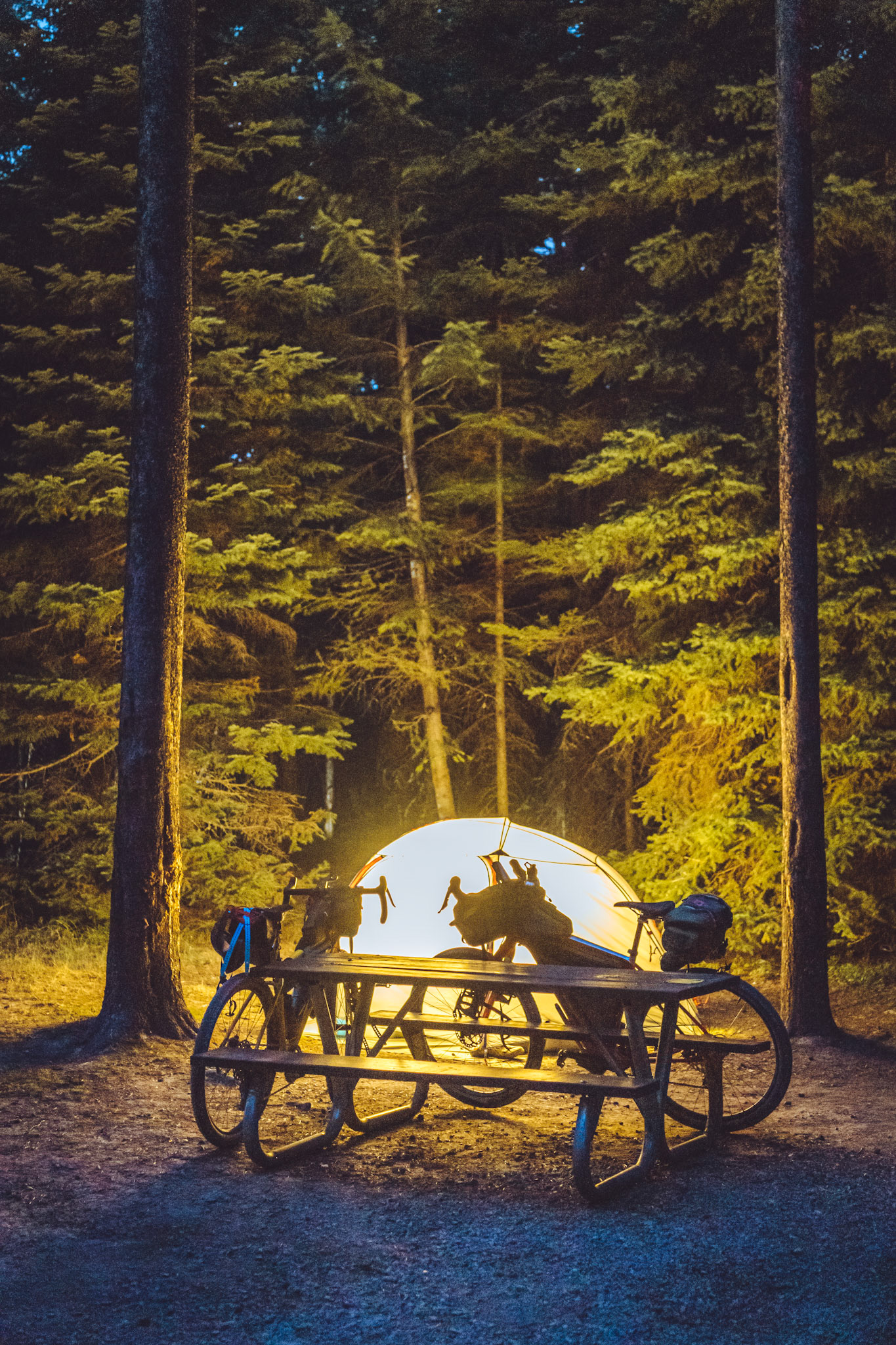 Bowman Lake., Glacier National Park.