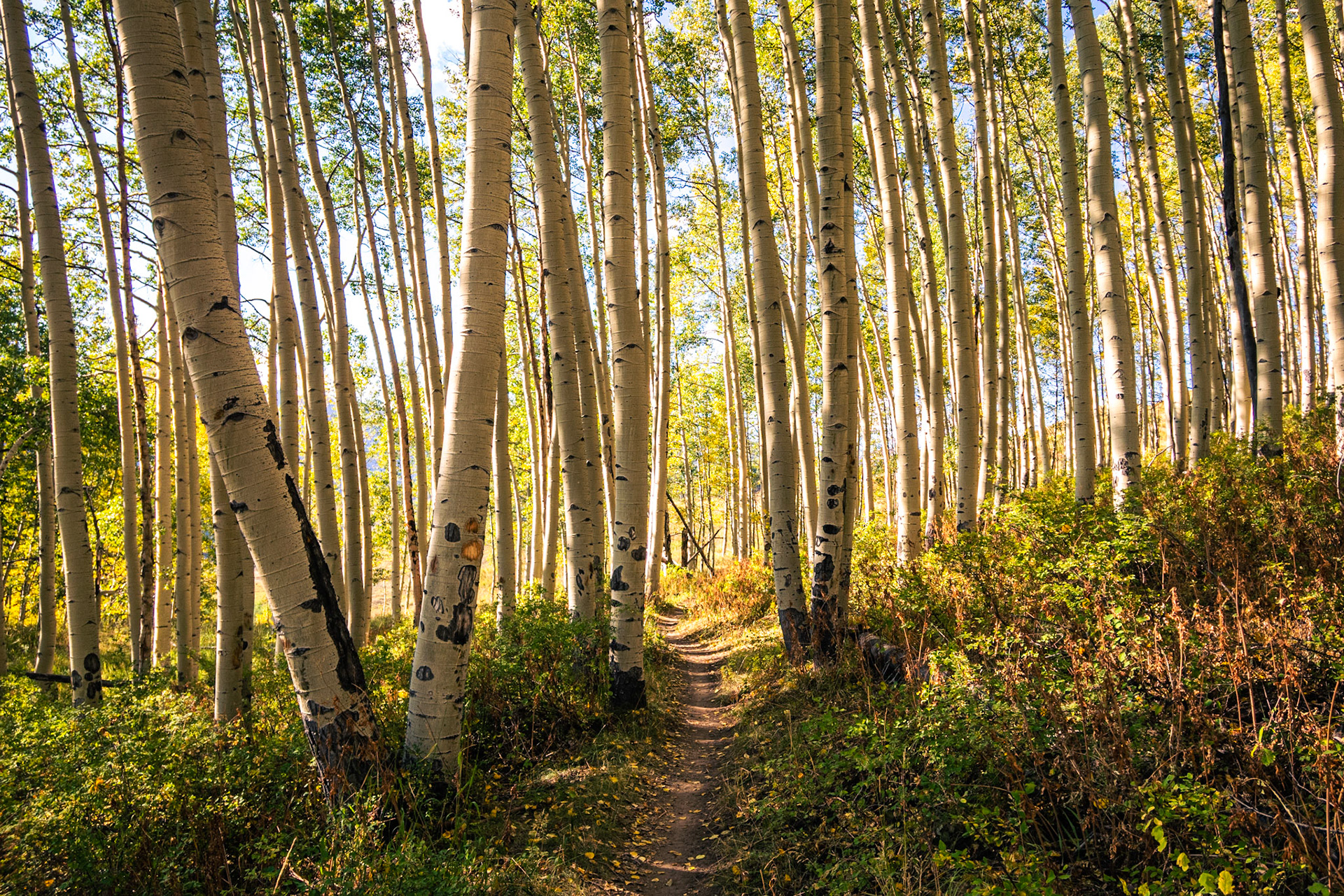 Crested Butte, Colorado
