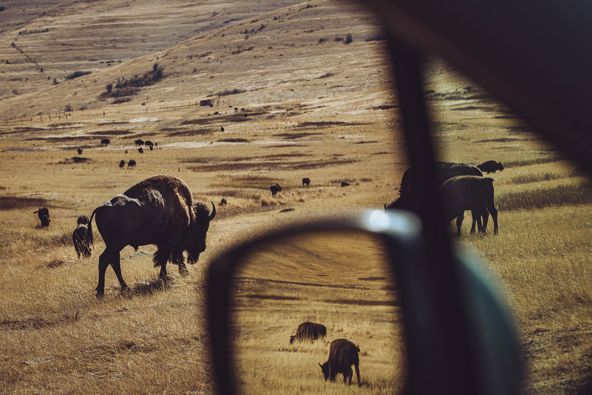 National Bison Range.