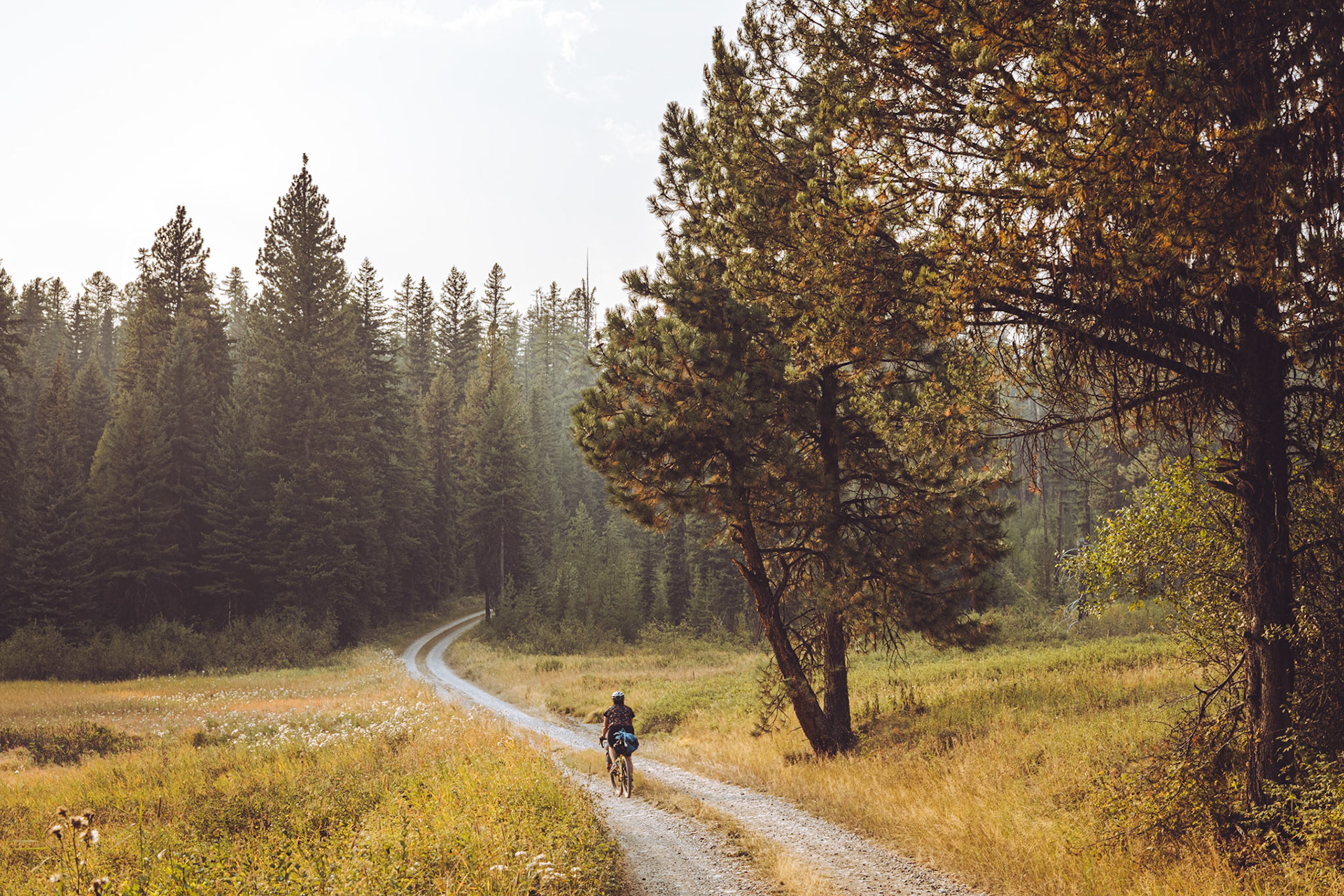 The Northfork Road. Glacier National Park.