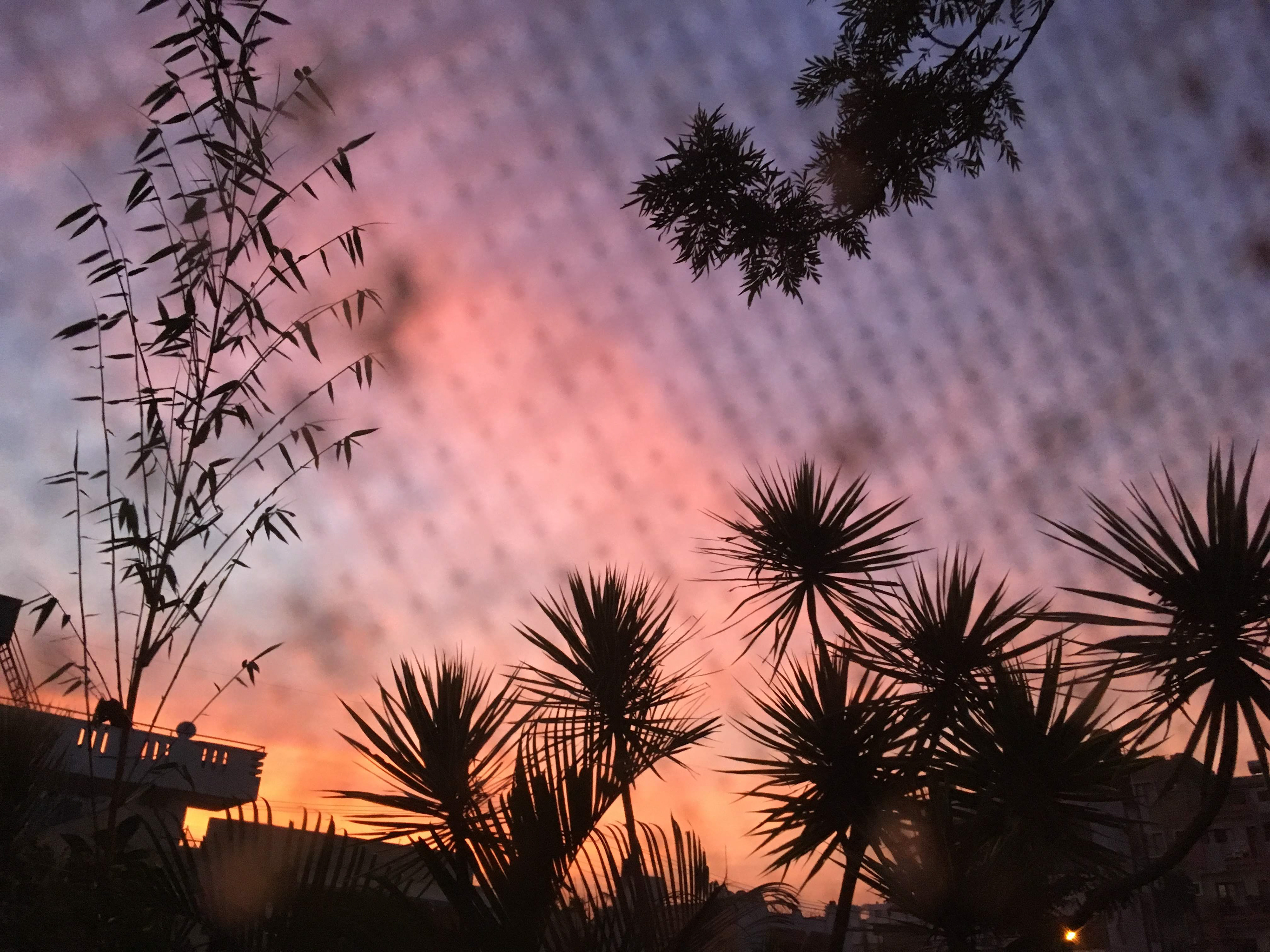 Filtered Sunset