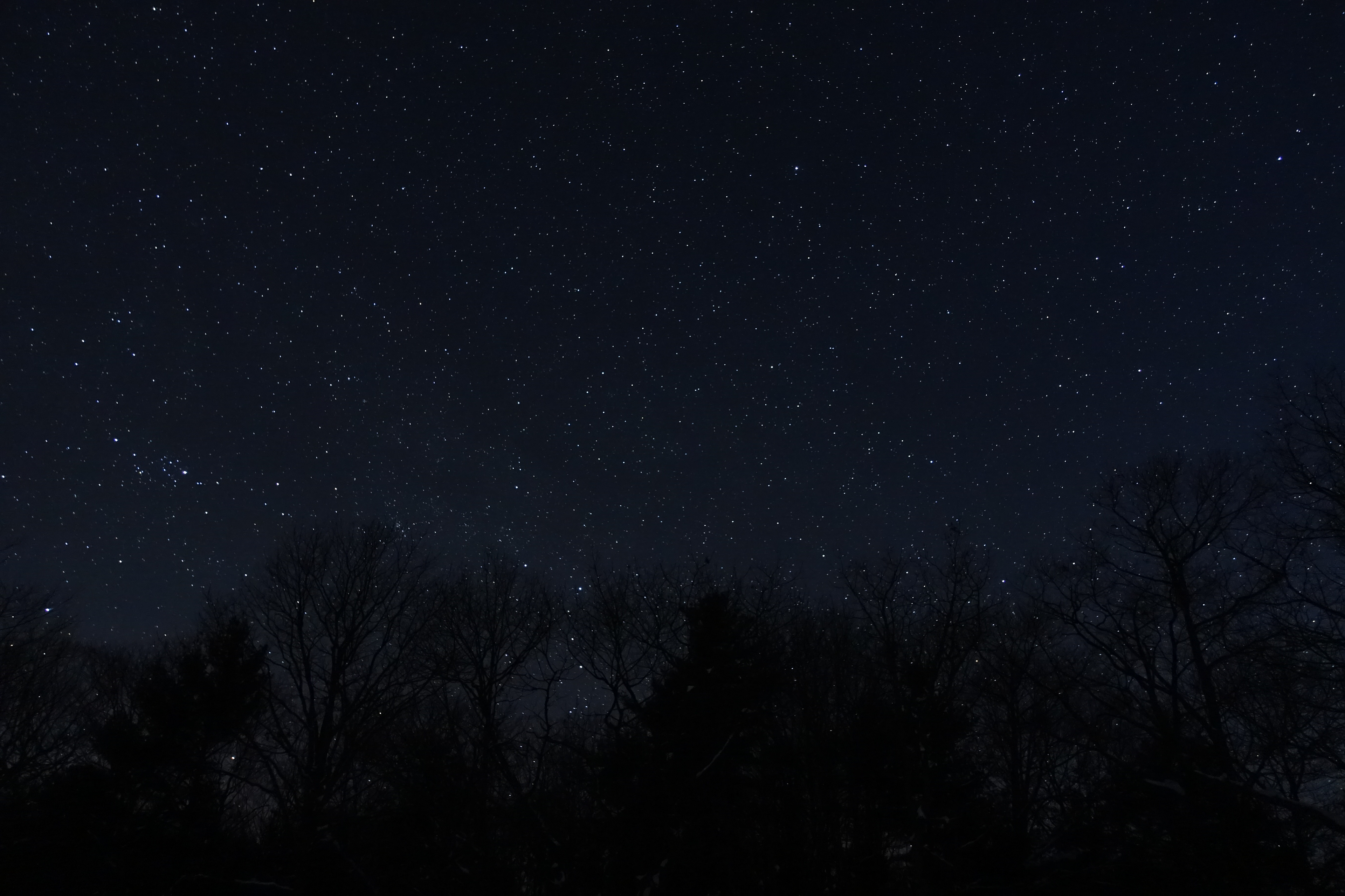 Untitled - Taylor Thiele