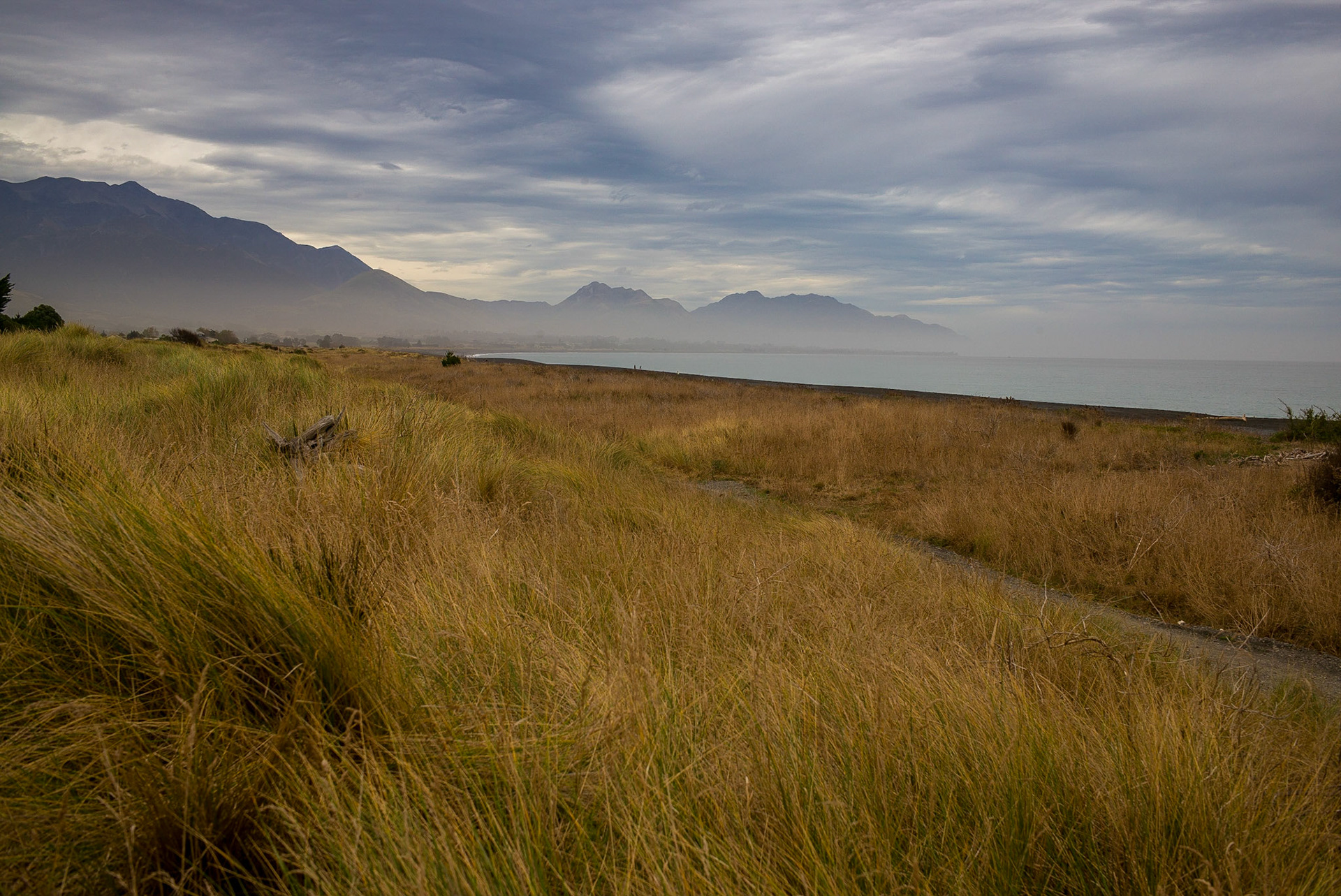 New Zealand, our hearts are with you. This photo was taken in 2015, just north of Christchurch.