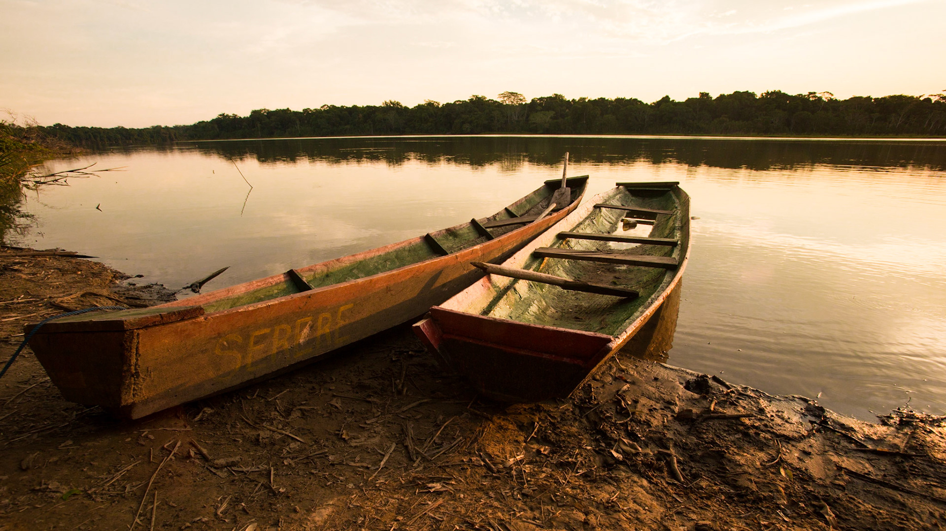 This is the Beni River (Rio Beni) about 2 hours north of Rurrenabaque, Bolivia. October, 2014.