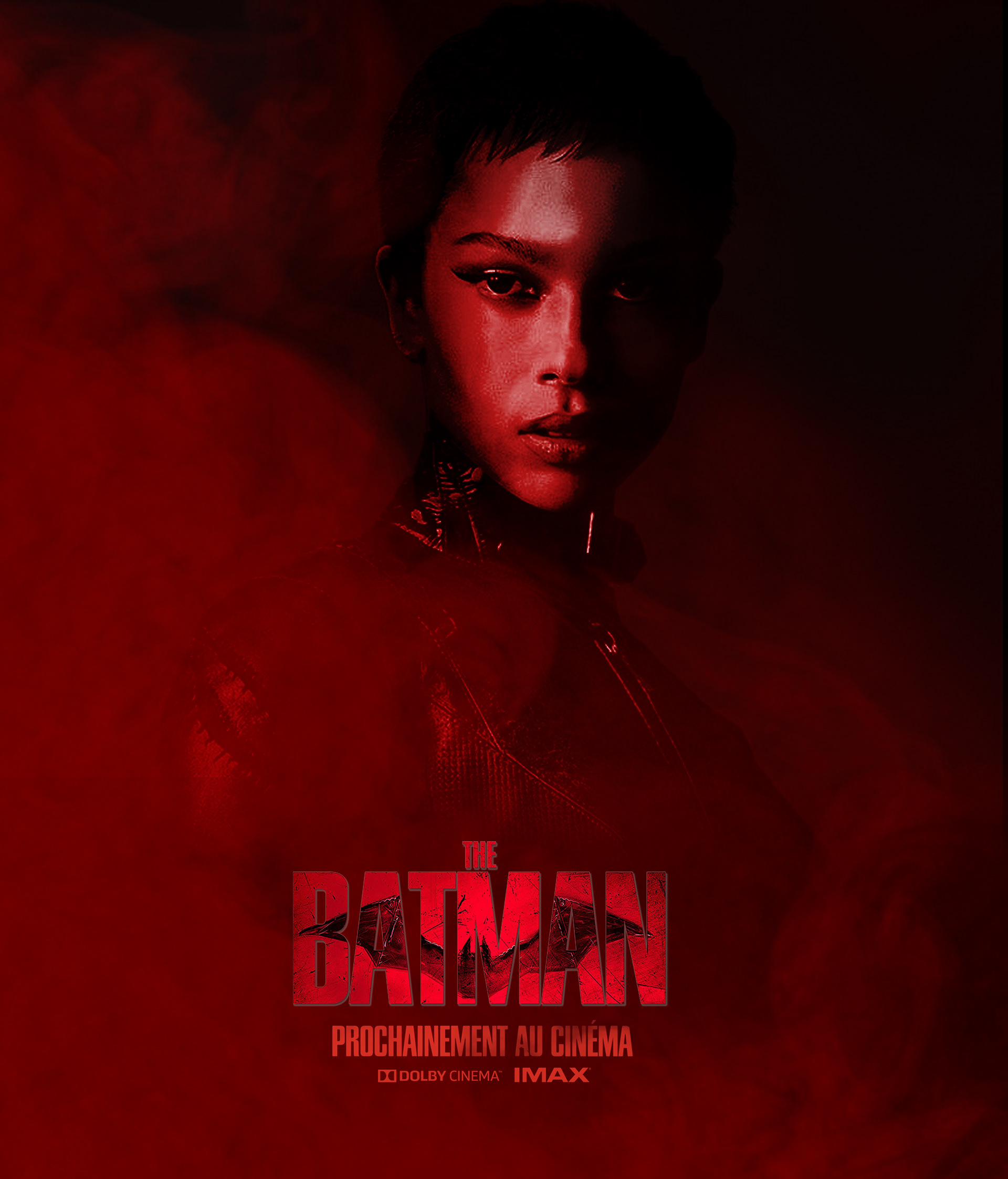 Affiche 4 / Selina Kyle