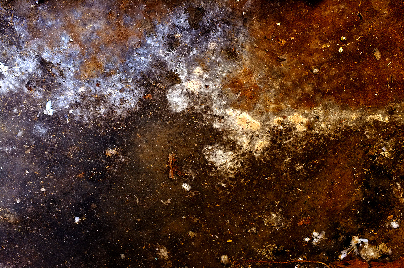 Universe #4, fotografia, stampa su carta baritata, box plexi, 40 x 70 cm