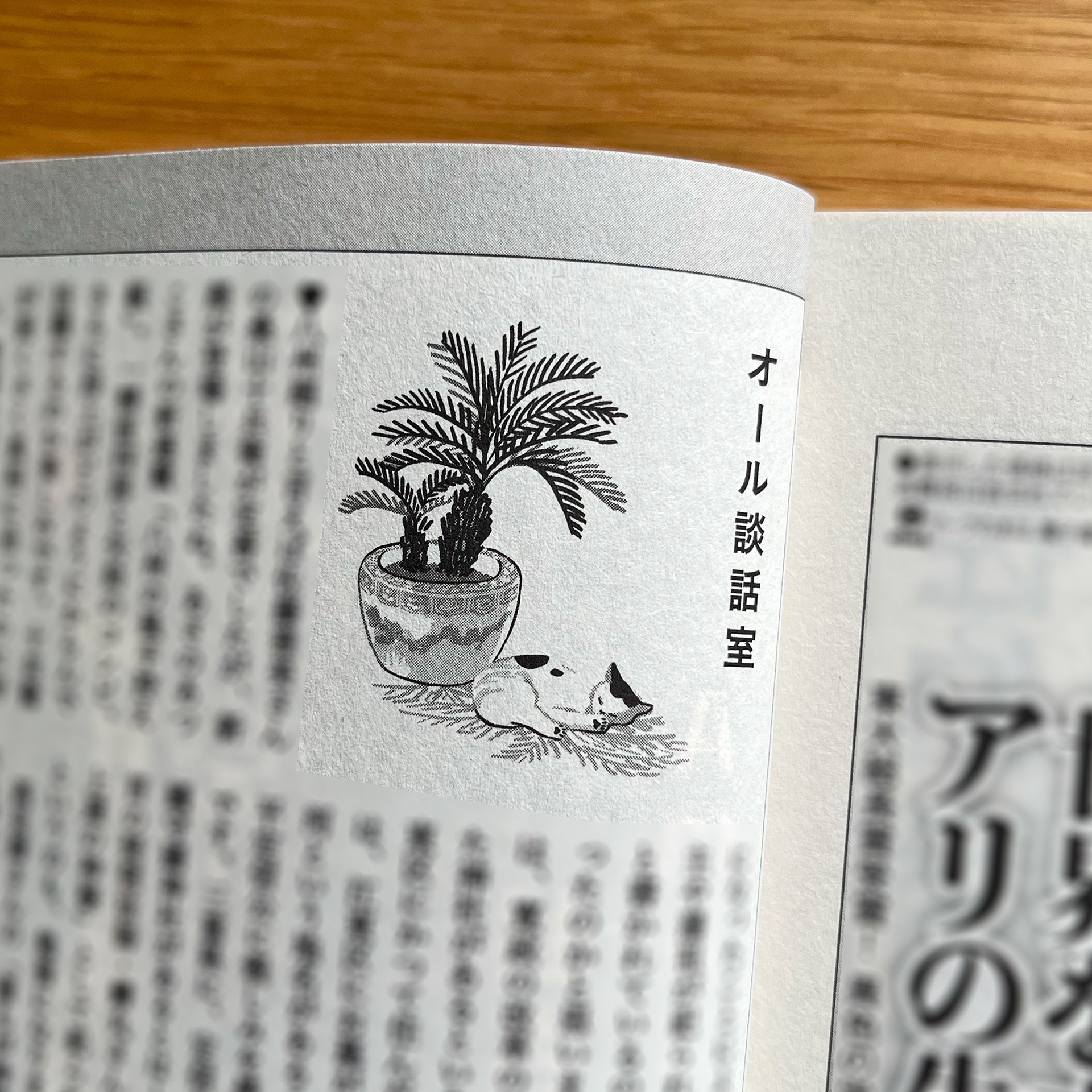 2024年 7・8月号