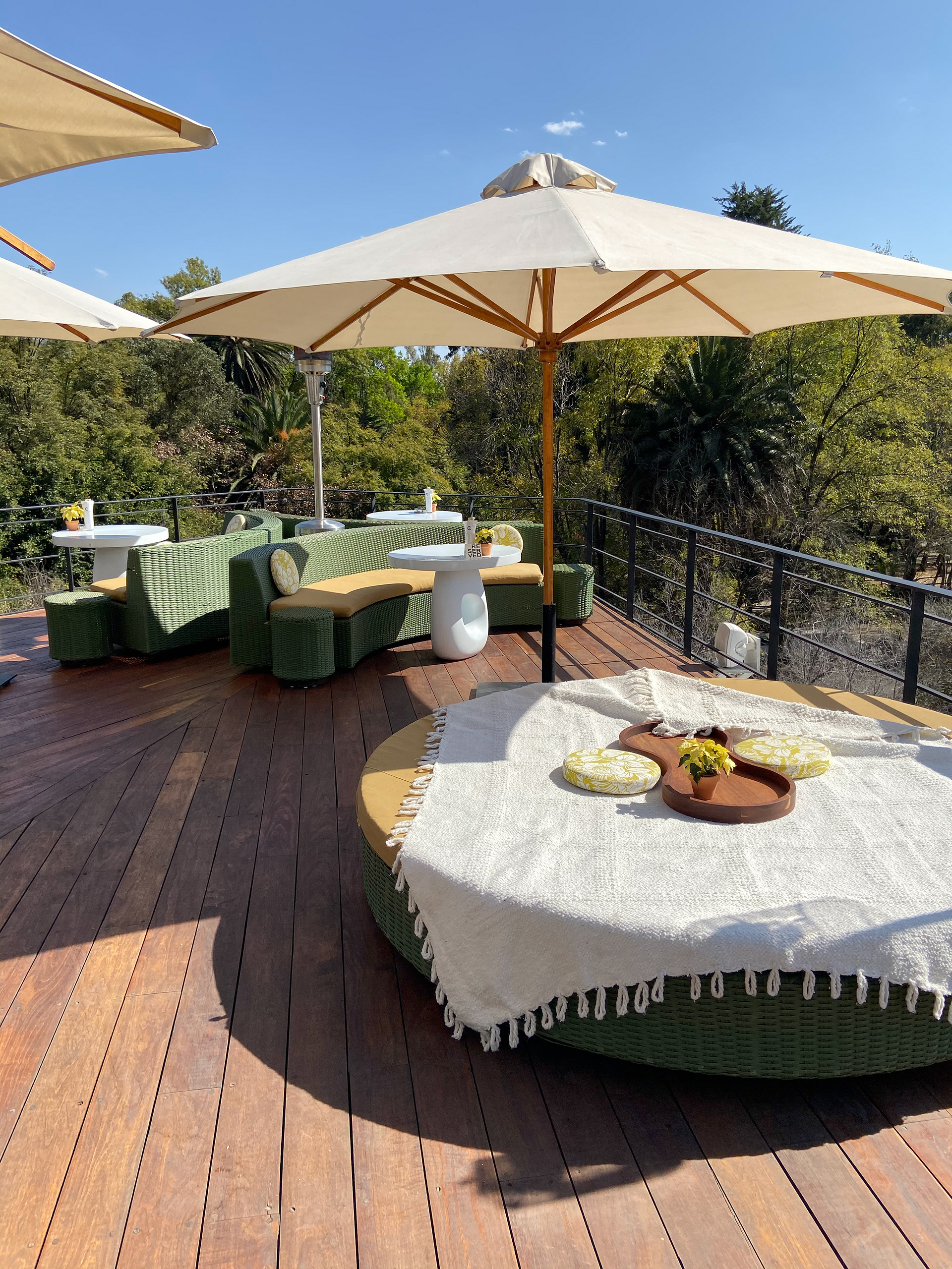 Rooftop at Hotel Condesa
