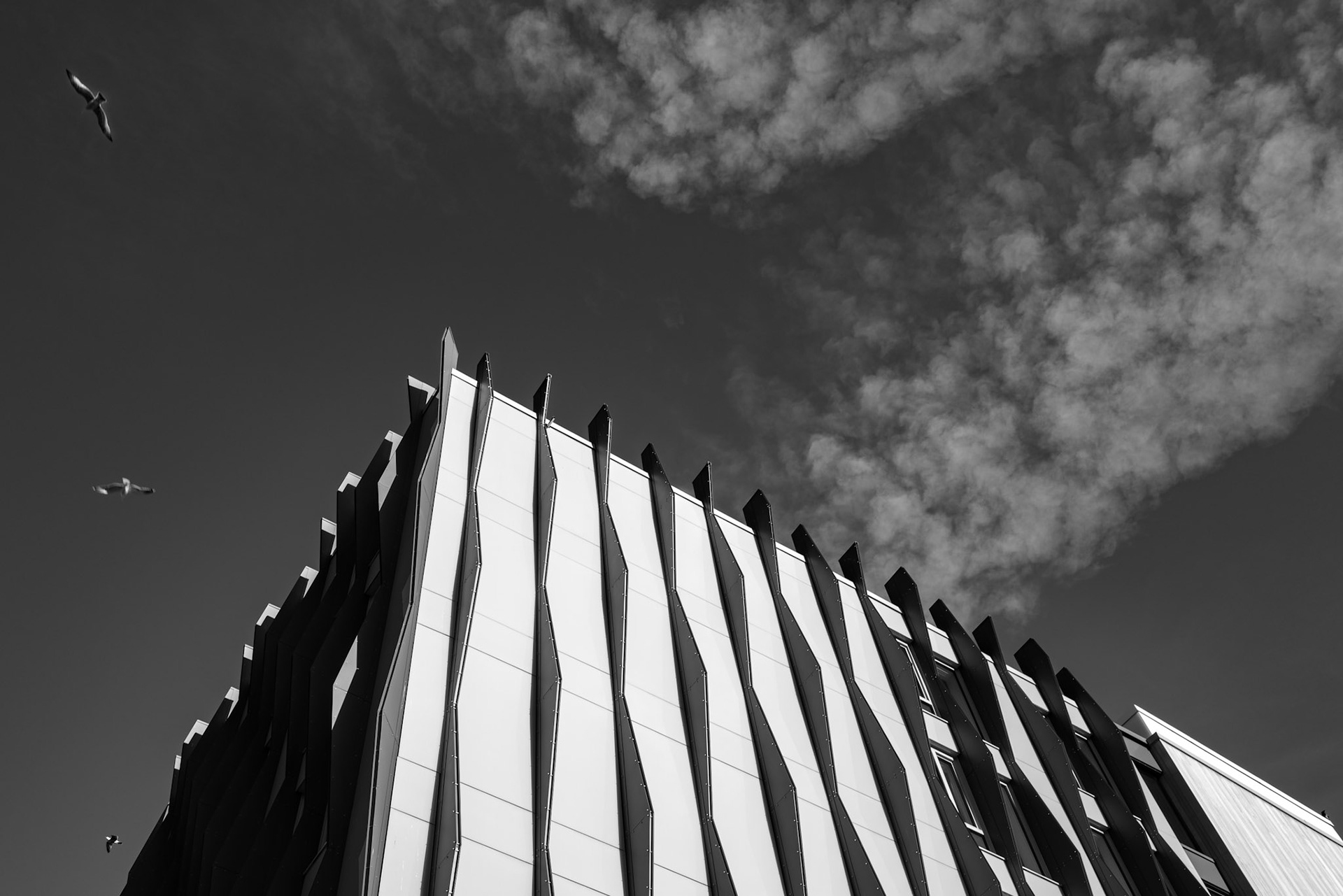 Du kan ikke hindre sorgens fugler i å fly over ditt hode, men du kan hindre dem i å bygge rede i ditt hår. Kinesiske ordtak