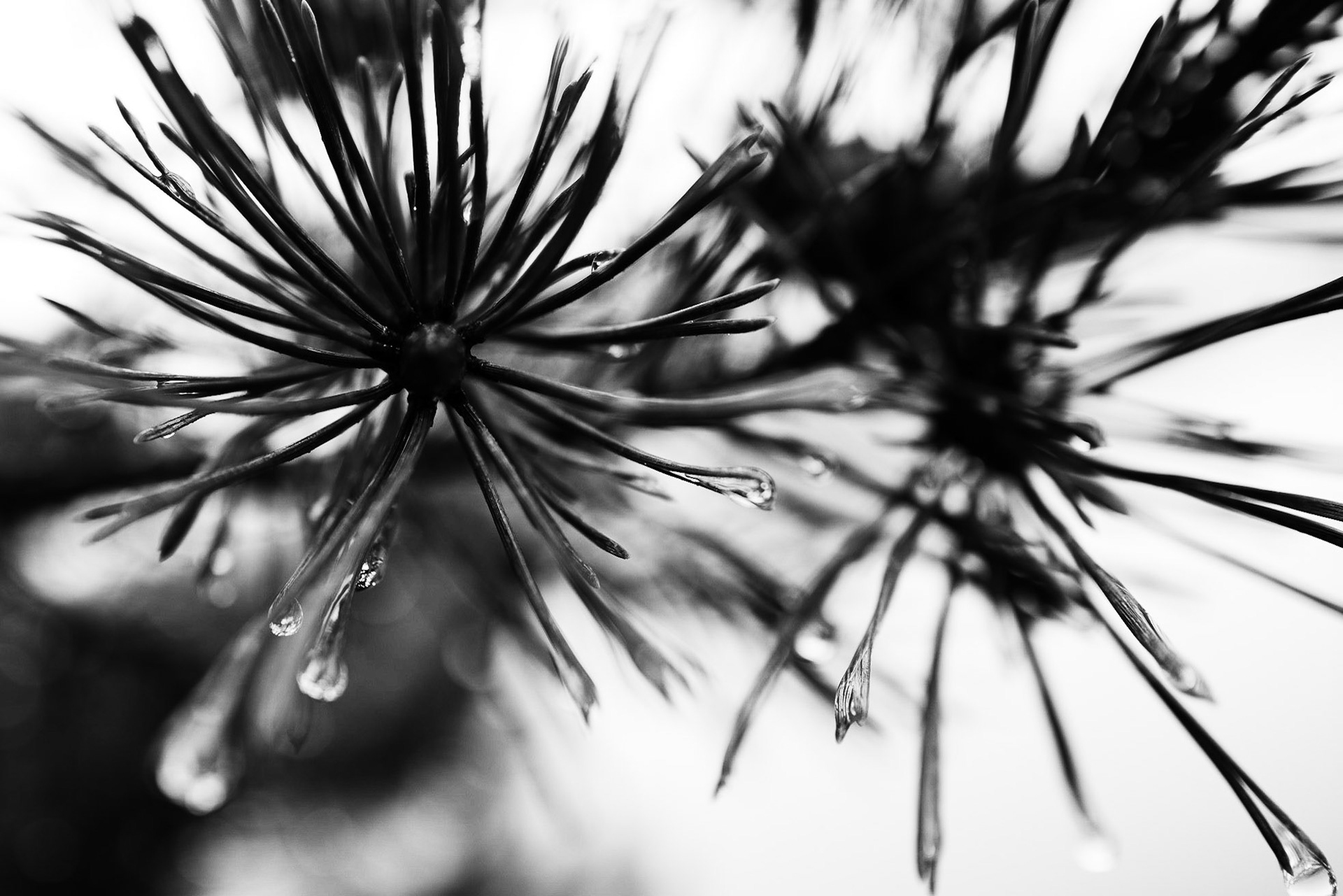 "You must not lose faith in humanity. Humanity is an ocean; if a few drops of the ocean are dirty, the ocean does not become dirty."  Mahatma Gandhi