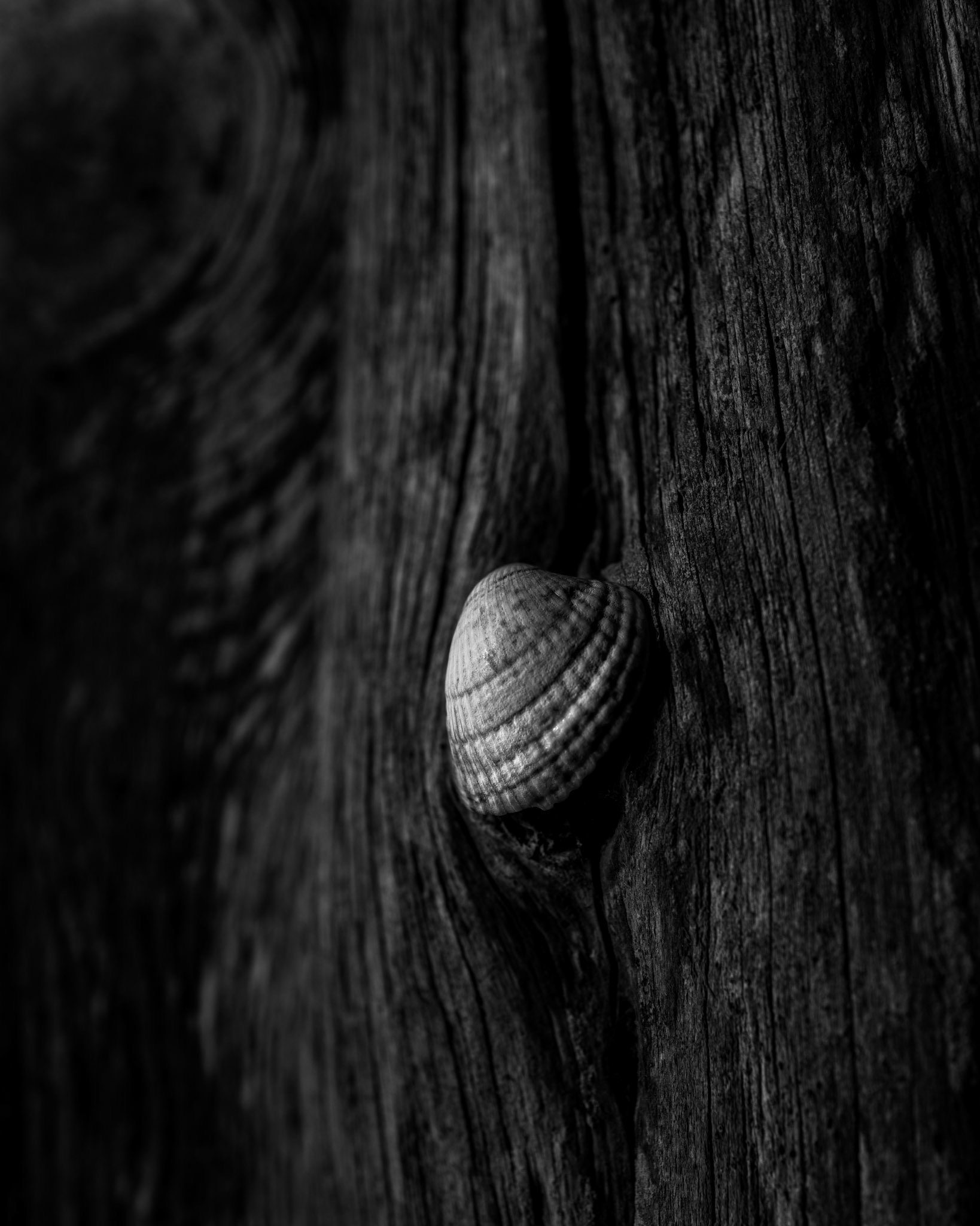 "De små nyansene gjør til sist den store forskjellen."  Erik Lerdahl