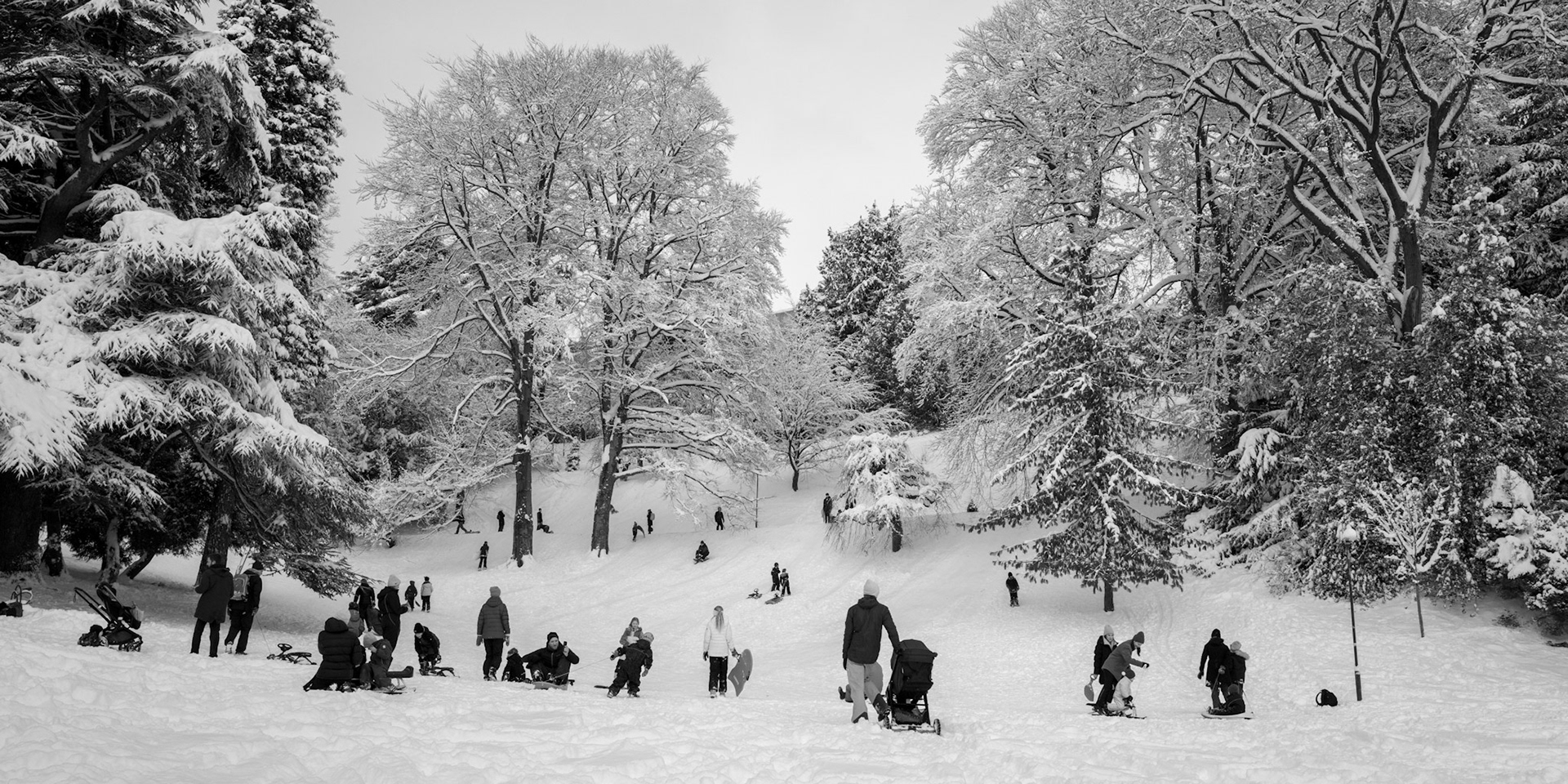 Nygårdsparken