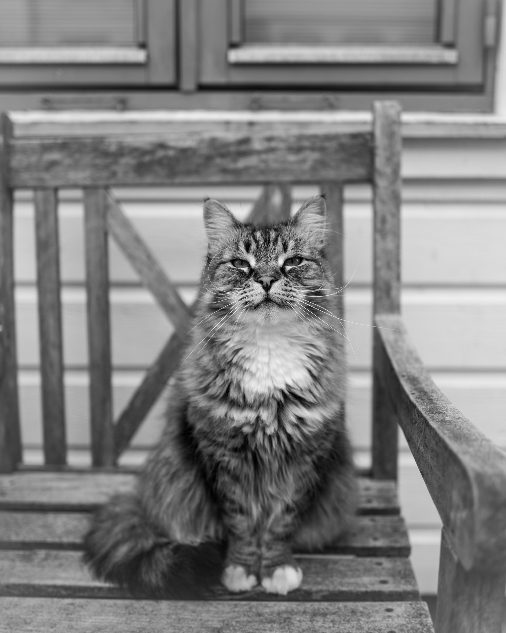 Den som tror på lykken er lykkelig. Friedrich Hebbel