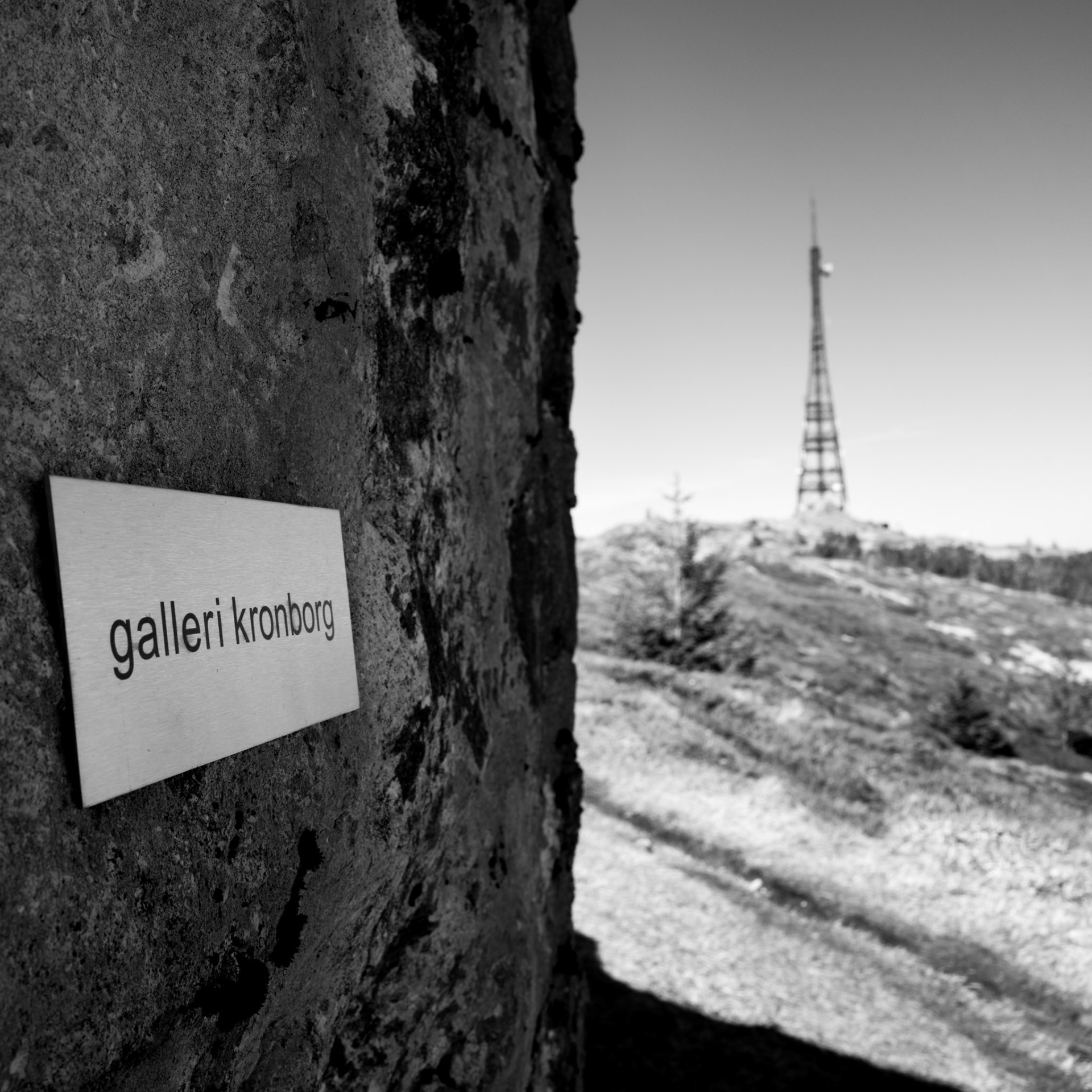 Galleri Kronborg.