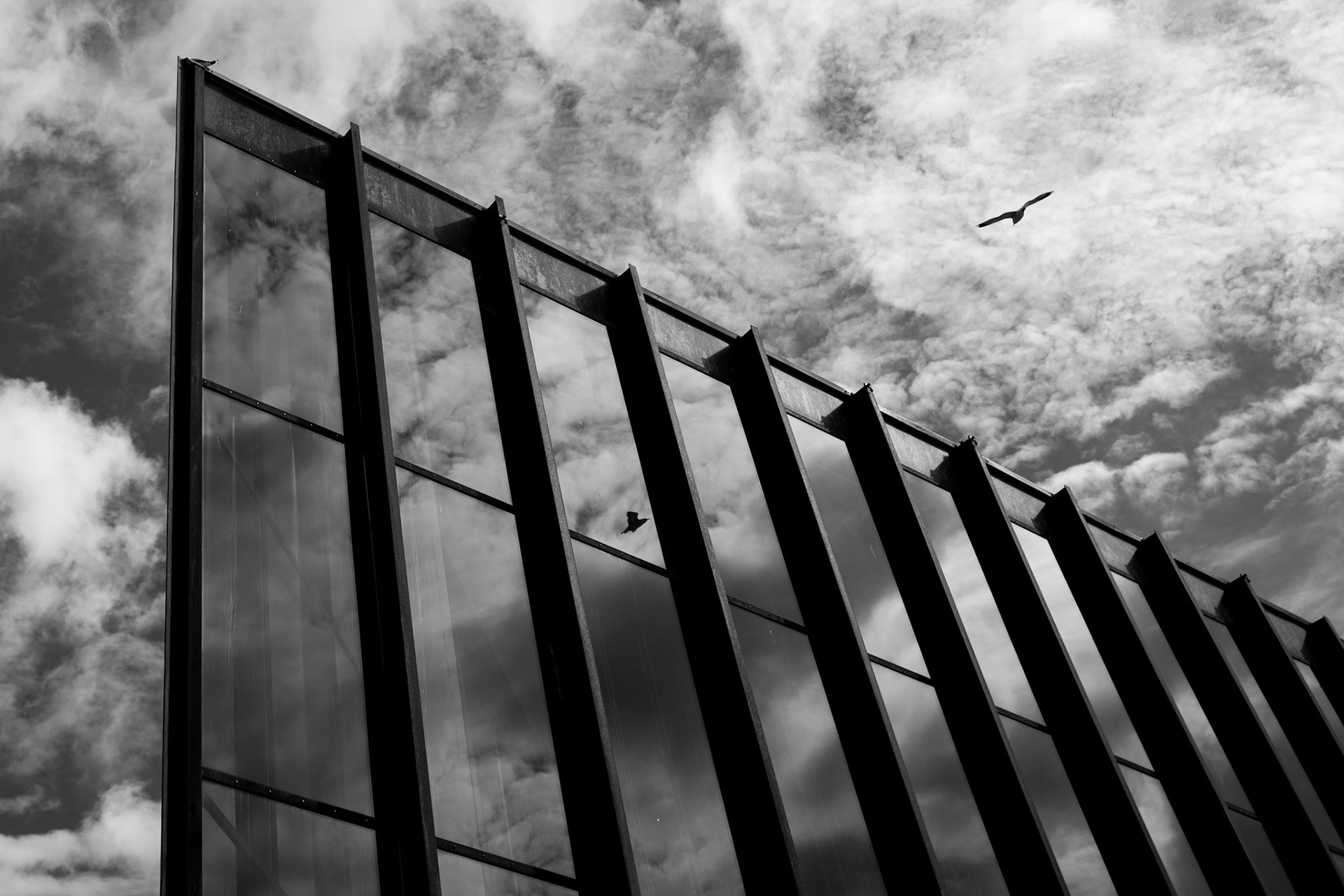 Den måken ser lengst som flyr høyest. Richard Bach