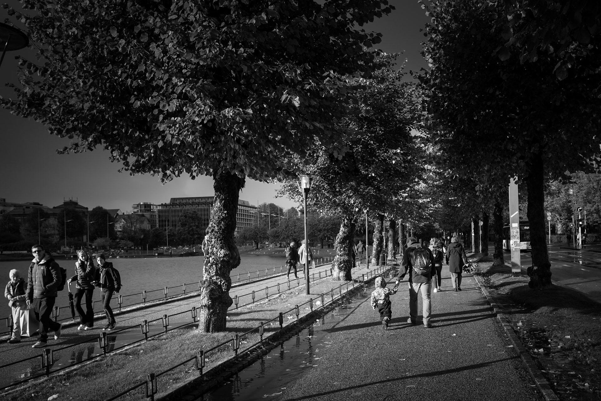 Jorder og trær lærer meg ingen ting, men det gjør menneskene i en by. Sokrates